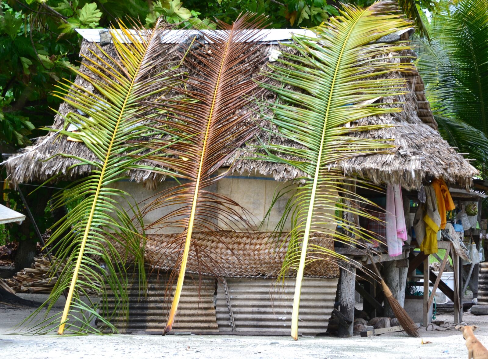 Nikon D3100 sample photo. Hut, grass, tropical photography