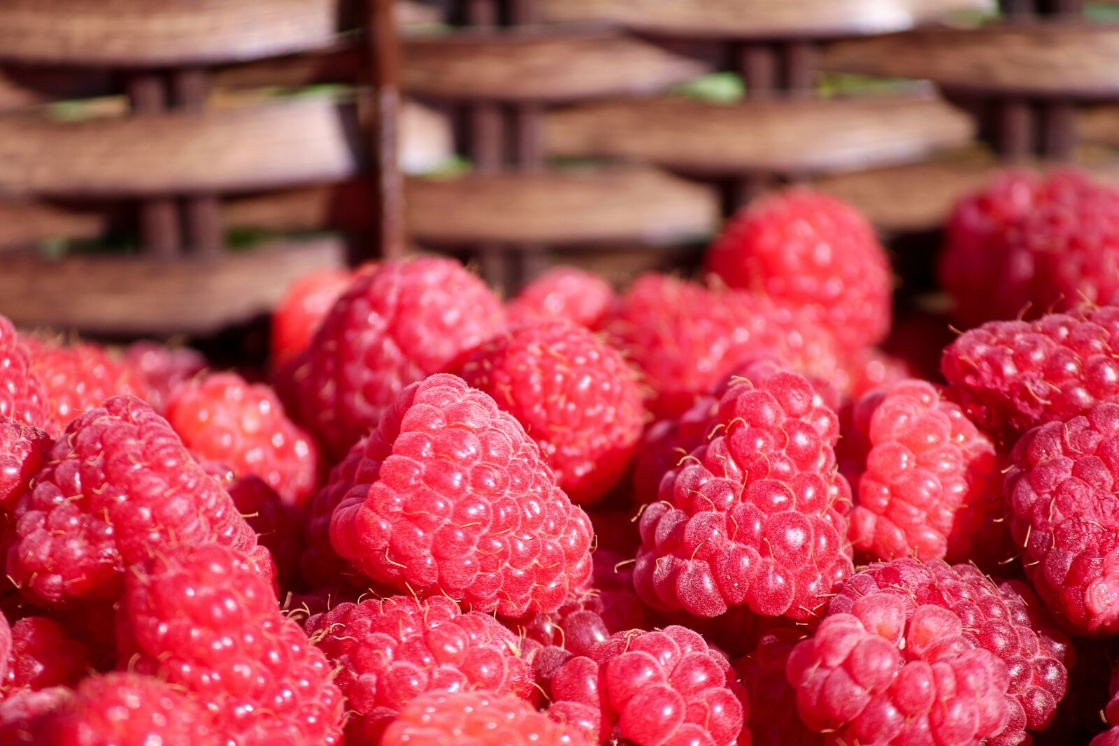 Canon EOS 1100D (EOS Rebel T3 / EOS Kiss X50) sample photo. Raspberries, basket, fruits photography