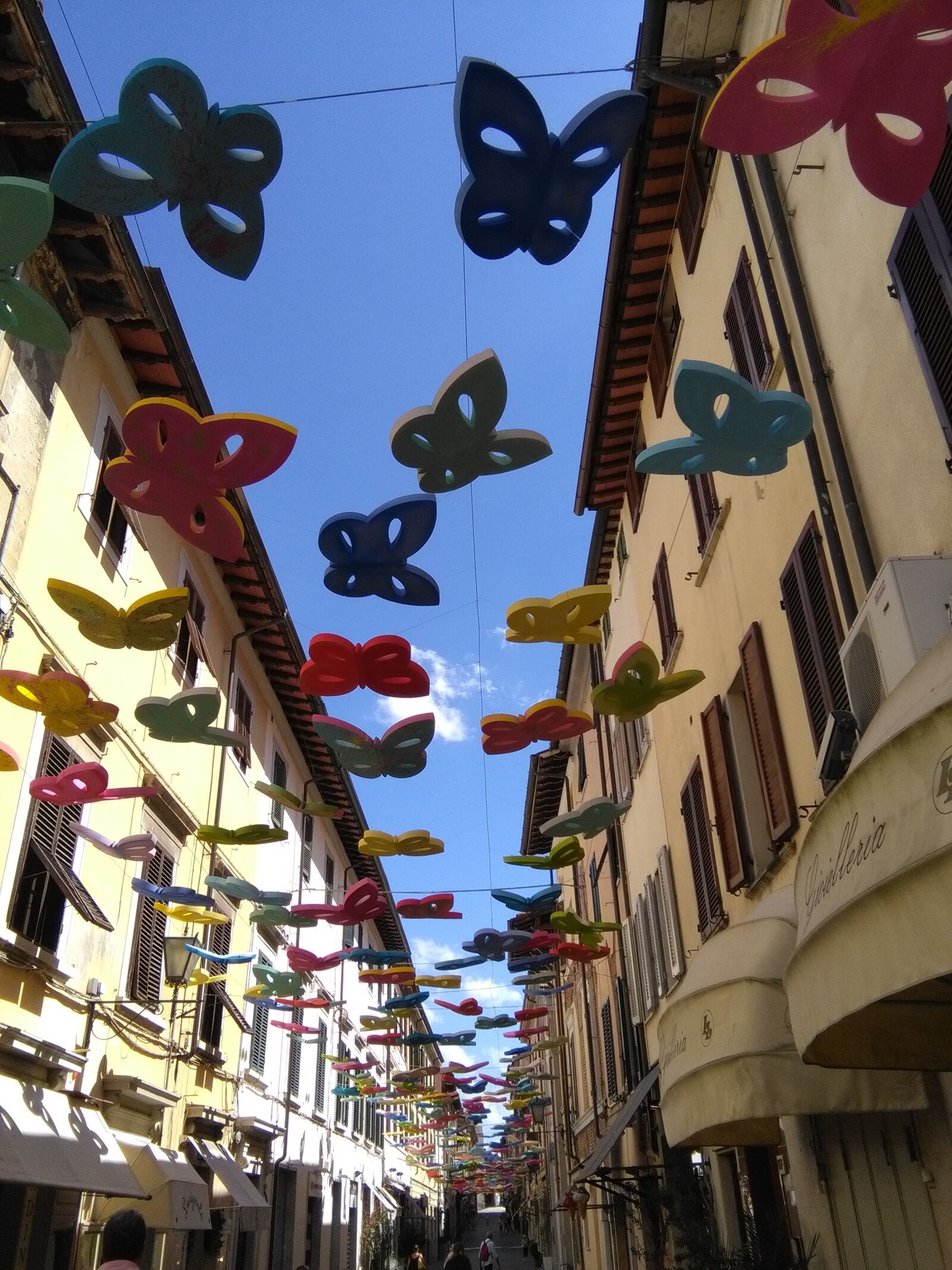 HUAWEI Y6 sample photo. Butterflies, tuscany, italy photography