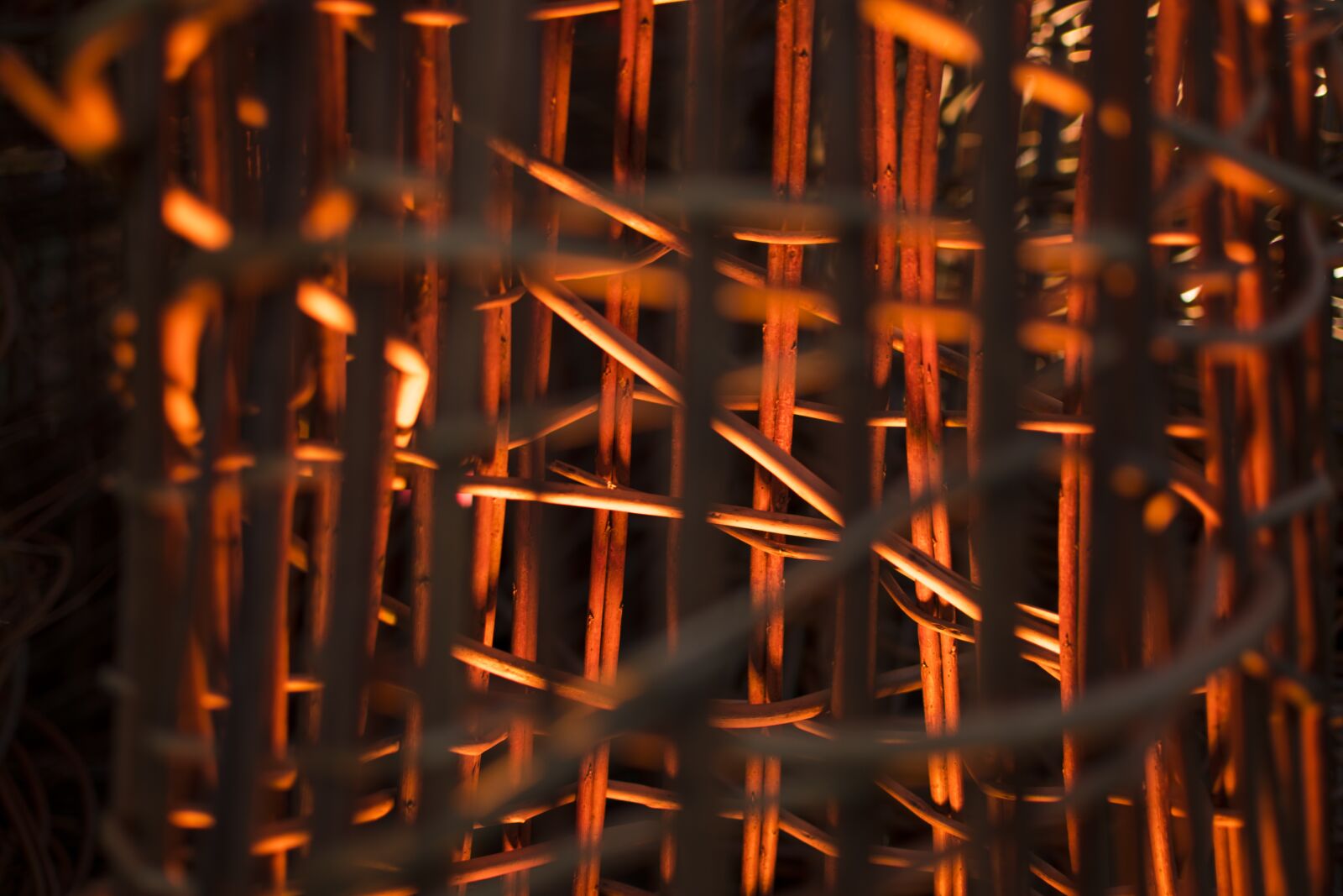 Nikon D5300 sample photo. Light, grid, red photography