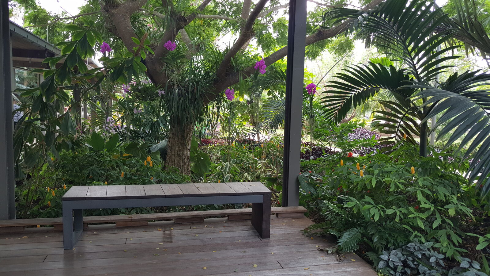 Samsung GALAXY S6 edge sample photo. Botanical, gardens photography