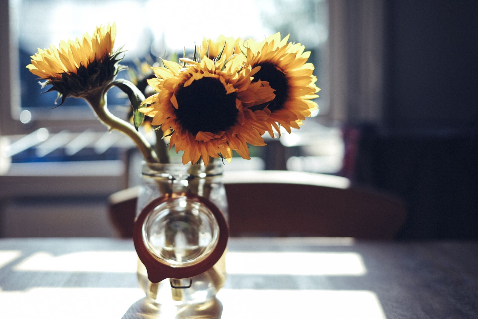 Fujifilm X-T1 + Fujifilm XF 35mm F1.4 R sample photo. Bloom, blossom, blur photography