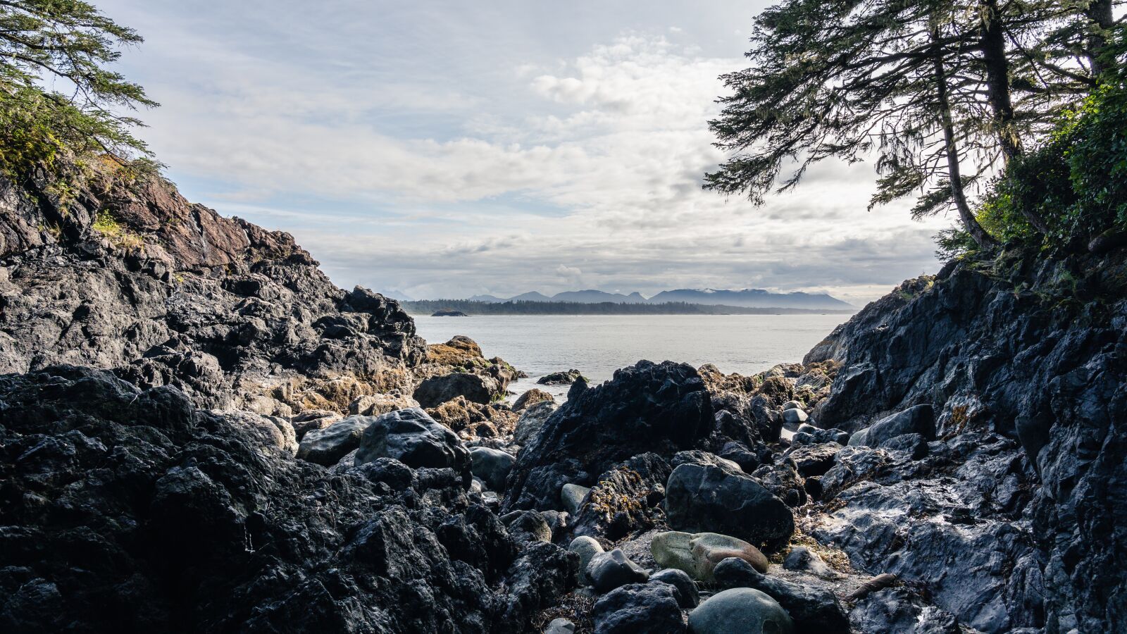 Sony FE 24-105mm F4 G OSS sample photo. Beach, tofino, vancouver island photography