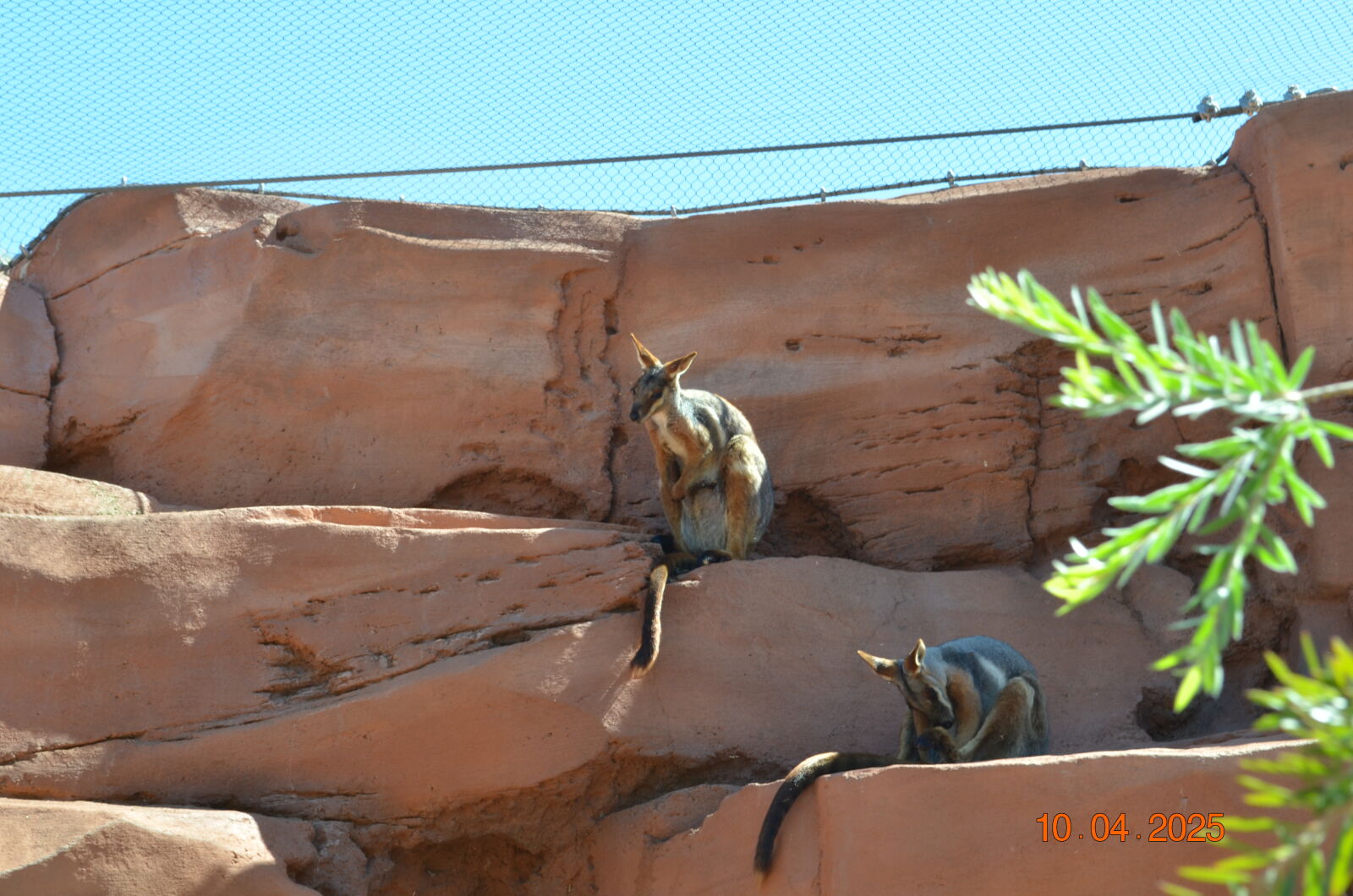 Nikon D5100 sample photo