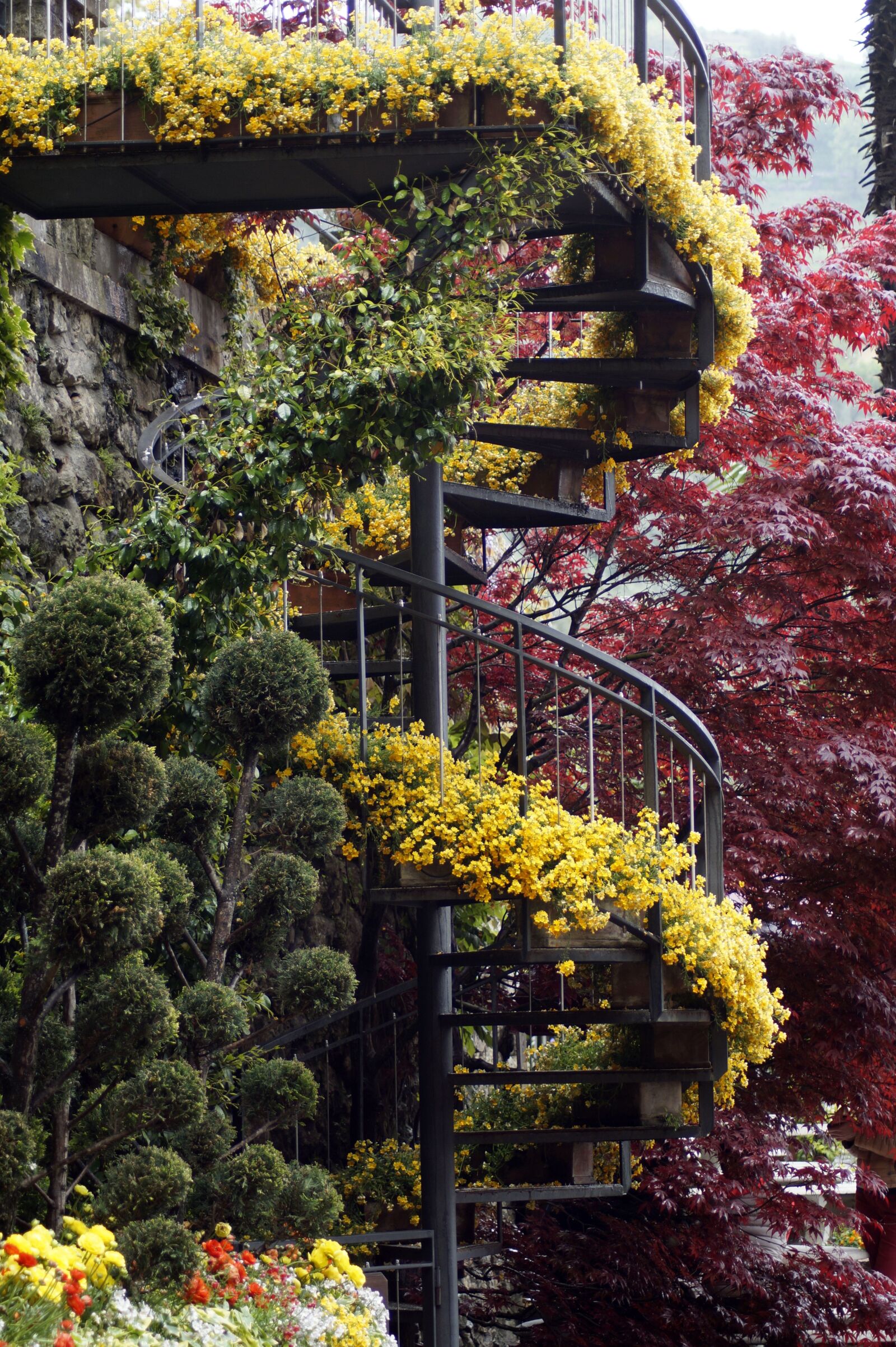 Sony SLT-A58 sample photo. Spiral staircase, flowers, stairs photography