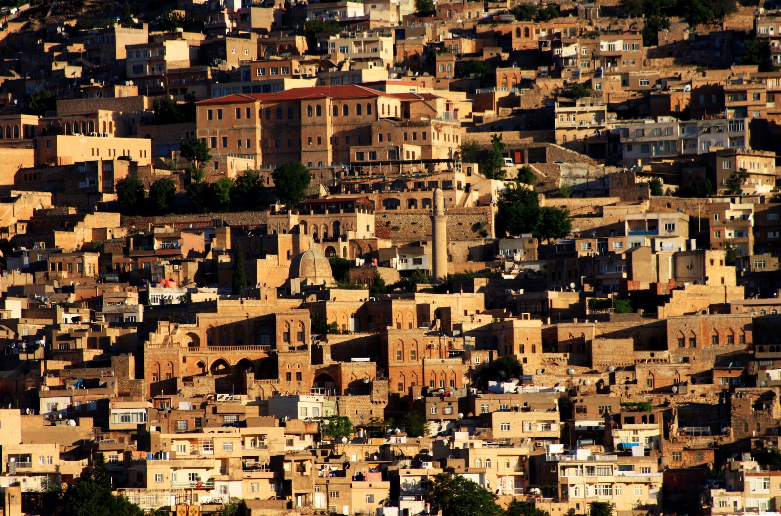 Canon EOS 500D (EOS Rebel T1i / EOS Kiss X3) sample photo. Mardin, historical city, turkey photography