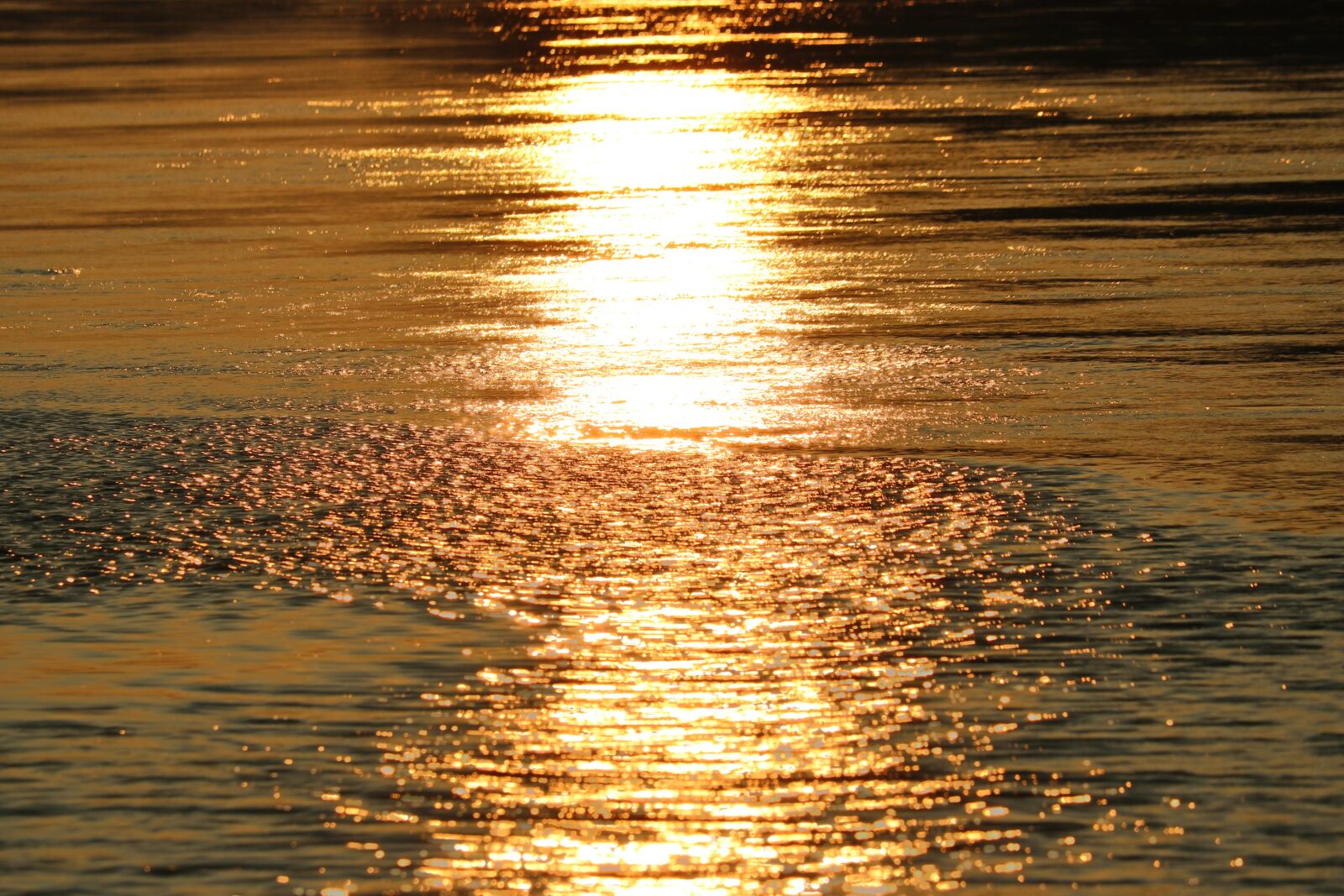 Canon EOS 750D (EOS Rebel T6i / EOS Kiss X8i) sample photo. Morning, water, river photography