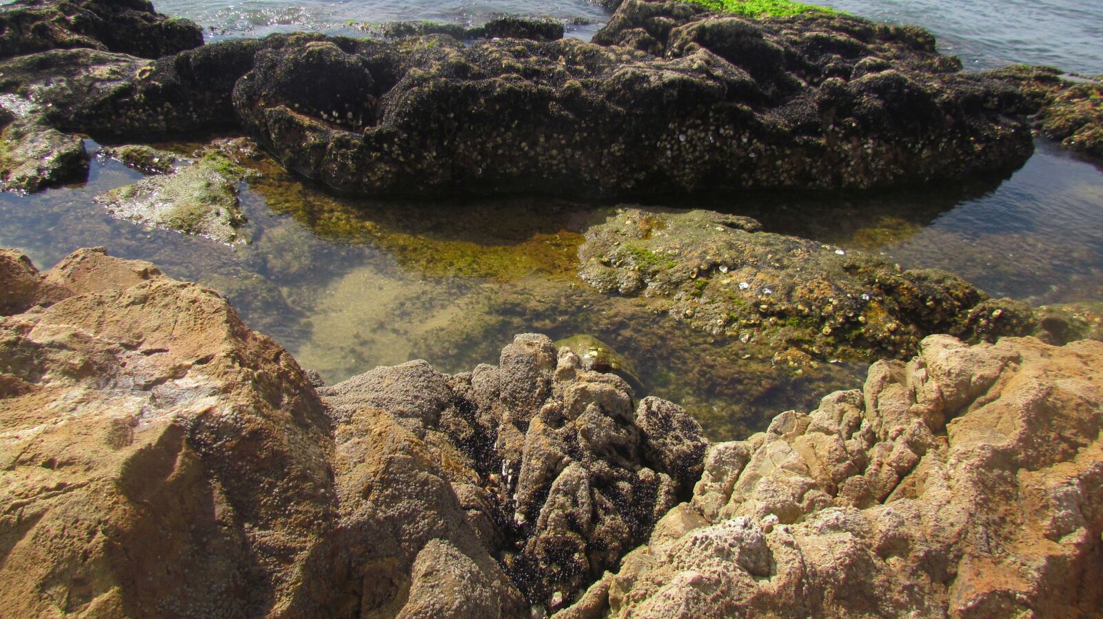 Canon PowerShot SX30 IS sample photo. Rock, santa catarina, beach photography