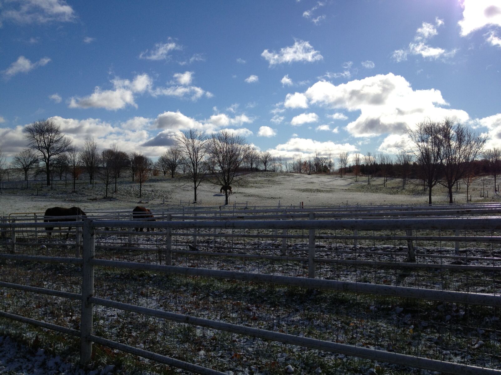 Apple iPhone 4S sample photo. Horse, blue sky, clouds photography