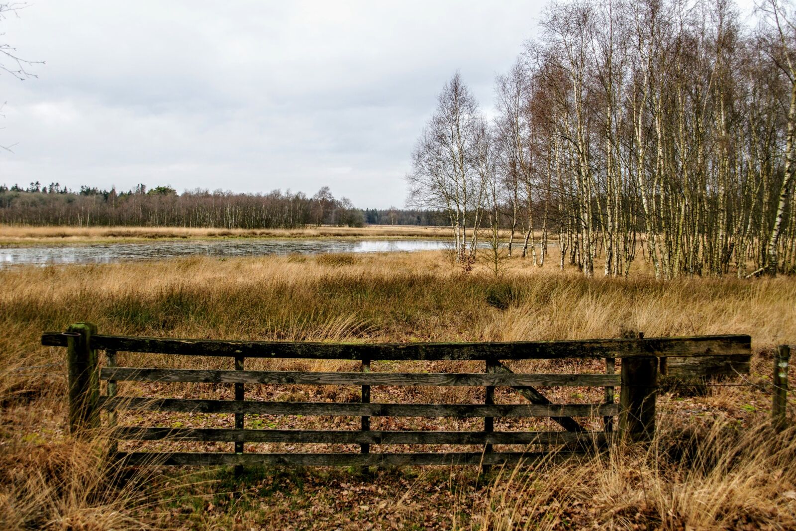 Sony Alpha DSLR-A700 sample photo. Meeuwenplassen, forester's house, schoonloo photography