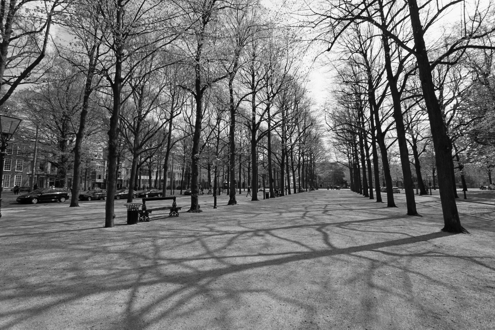 Canon EOS 500D (EOS Rebel T1i / EOS Kiss X3) sample photo. Long voorhout, the hague photography