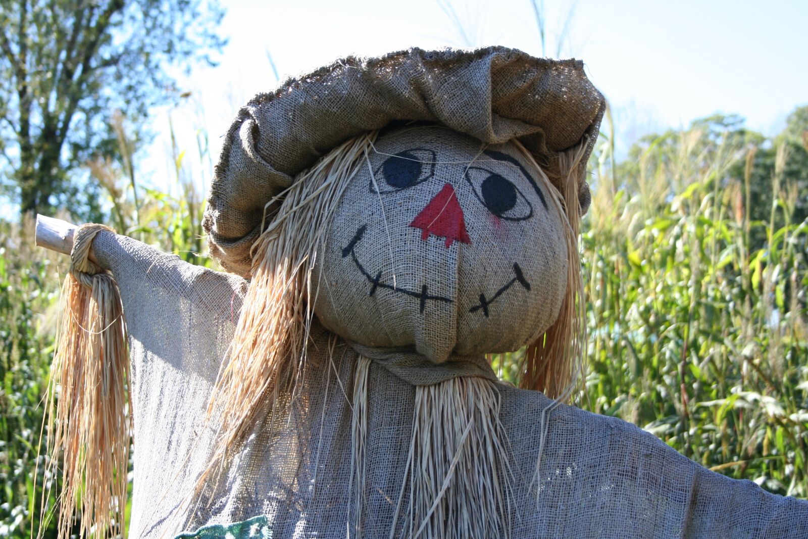 Canon EOS 350D (EOS Digital Rebel XT / EOS Kiss Digital N) sample photo. Scarecrow, fall, straw photography