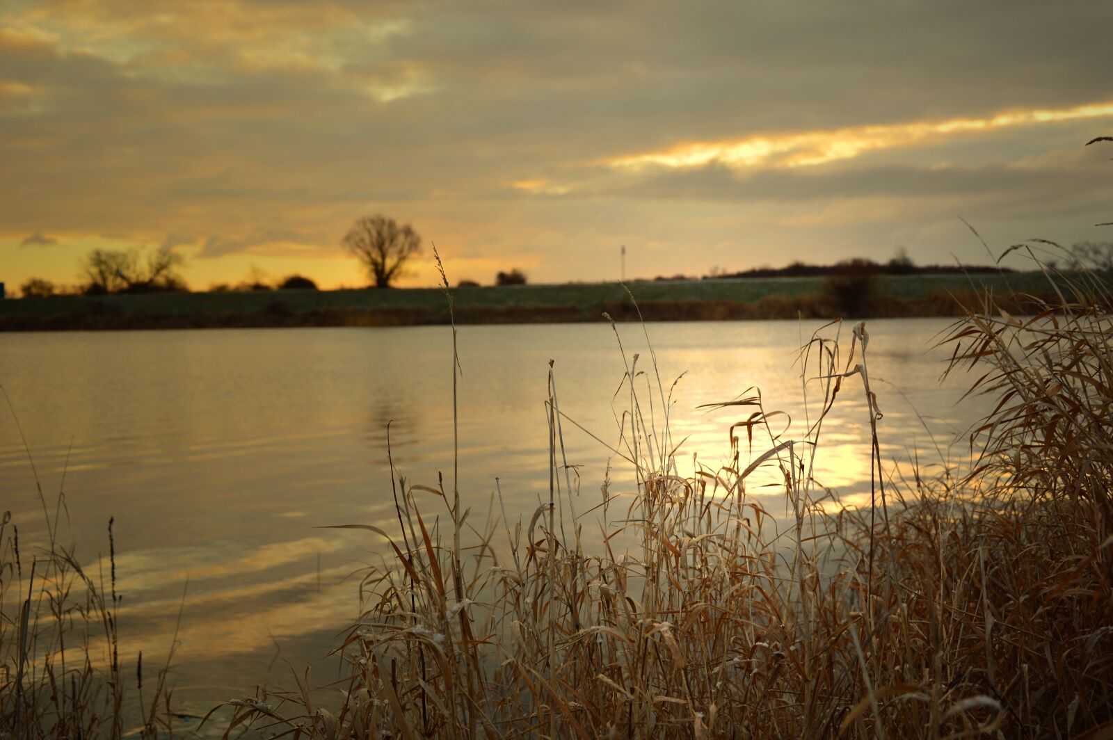 Nikon D3200 sample photo. Grasses, river landscape, landscape photography