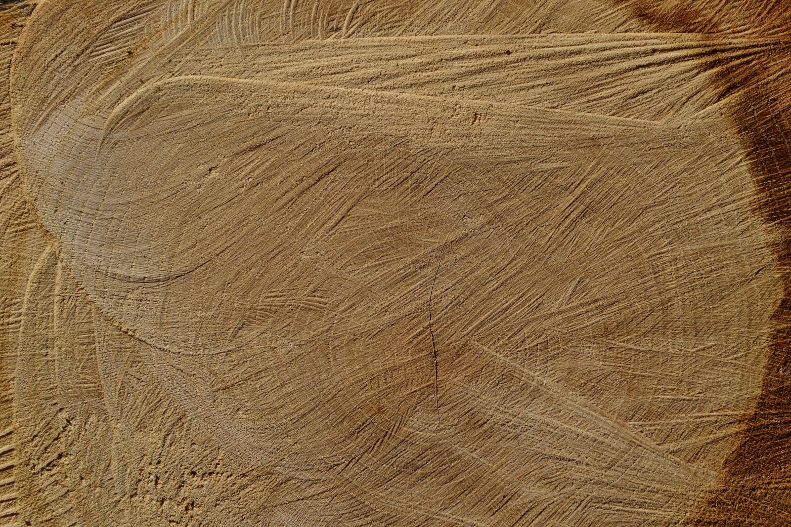 Nikon D5300 sample photo. Log, structure, wood photography