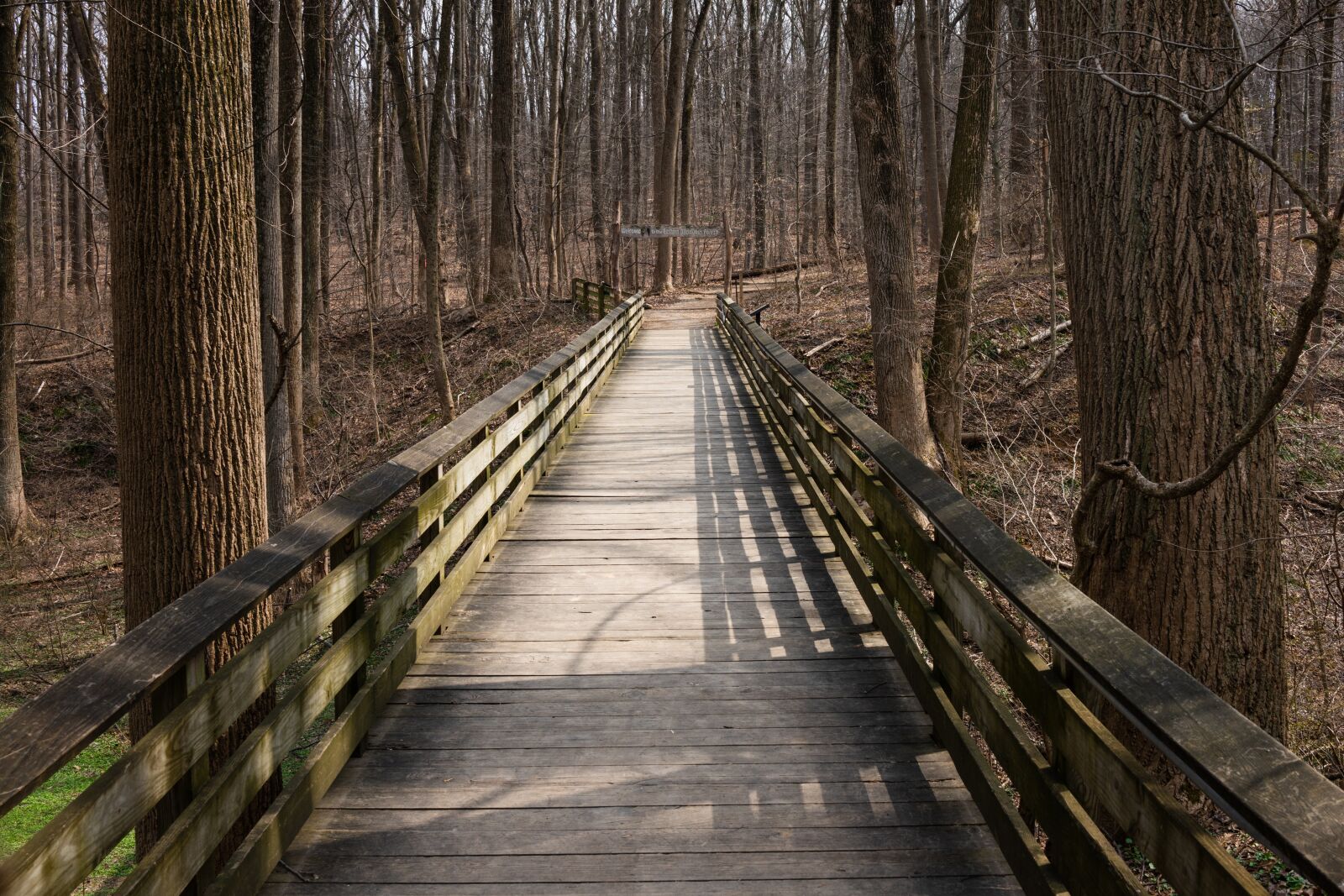 35mm F2.0 sample photo. Bridge, trail, woods photography