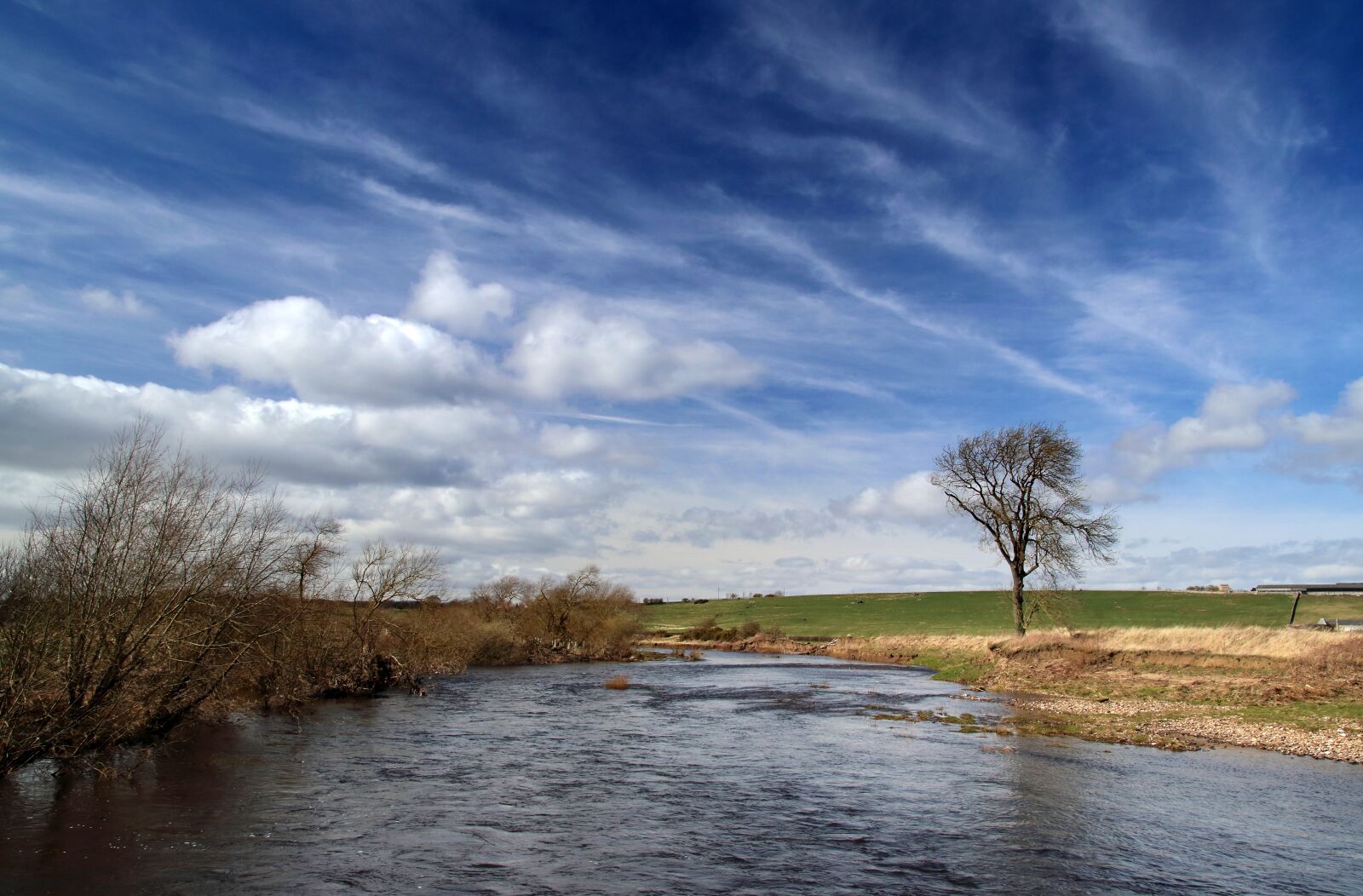 Canon EOS 80D sample photo. Landscape, river, tree photography