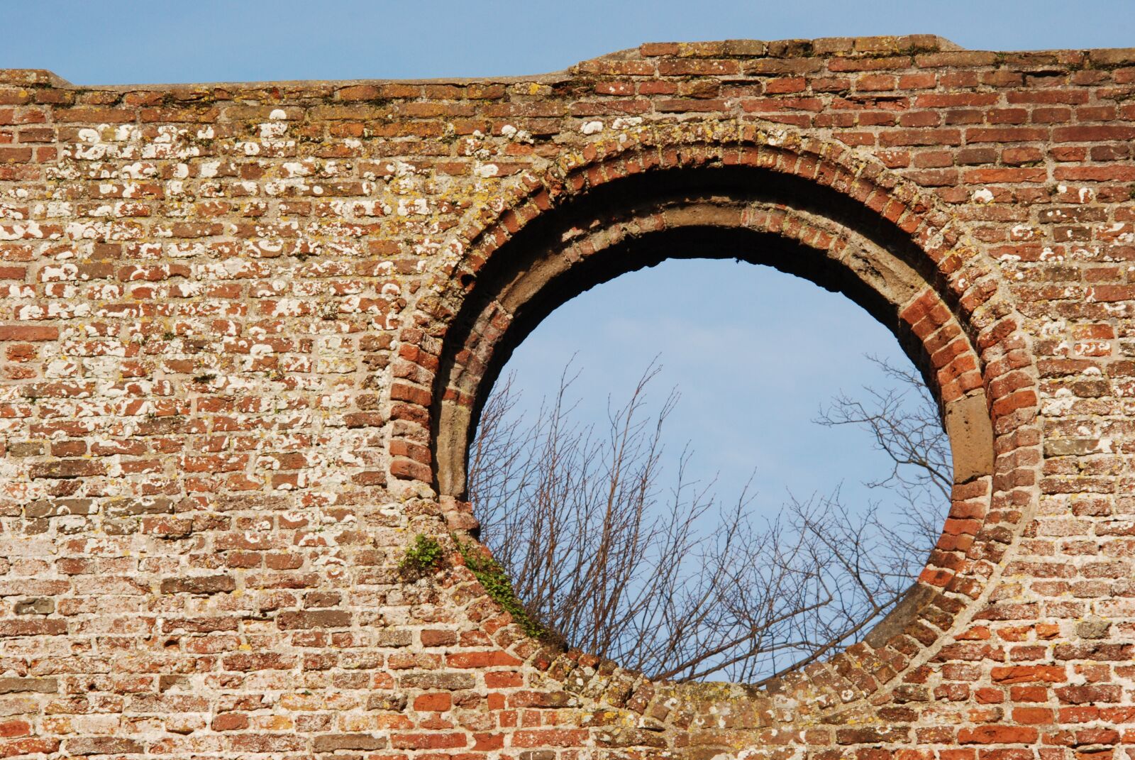 Nikon D80 sample photo. Wall, stones, old photography