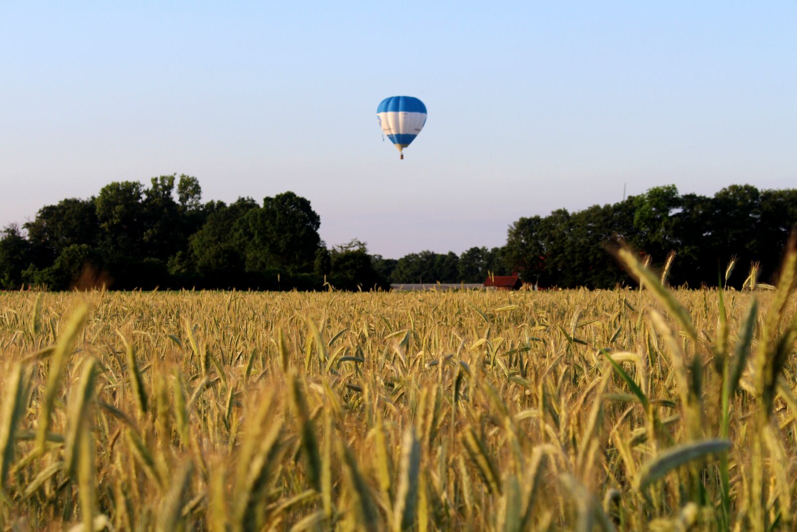 Canon EOS 700D (EOS Rebel T5i / EOS Kiss X7i) sample photo. Hot air balloon, rye photography