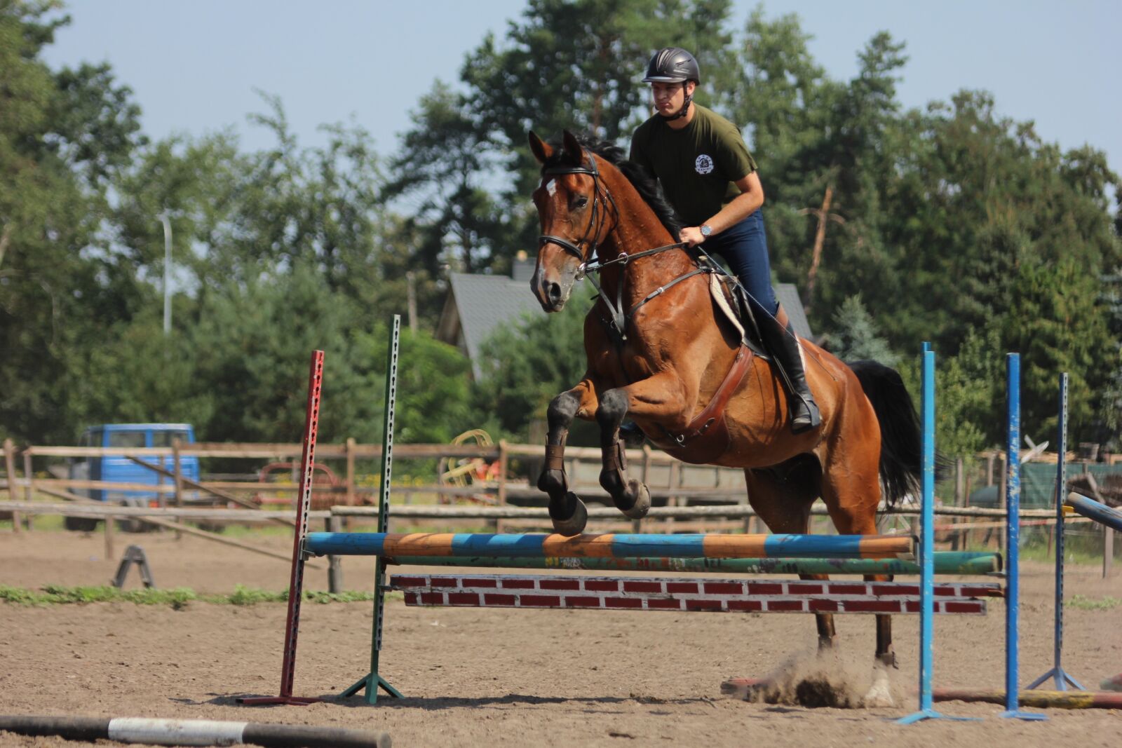 Canon EOS 600D (Rebel EOS T3i / EOS Kiss X5) sample photo. Horses, horse, skokiprzezprzeszkody photography