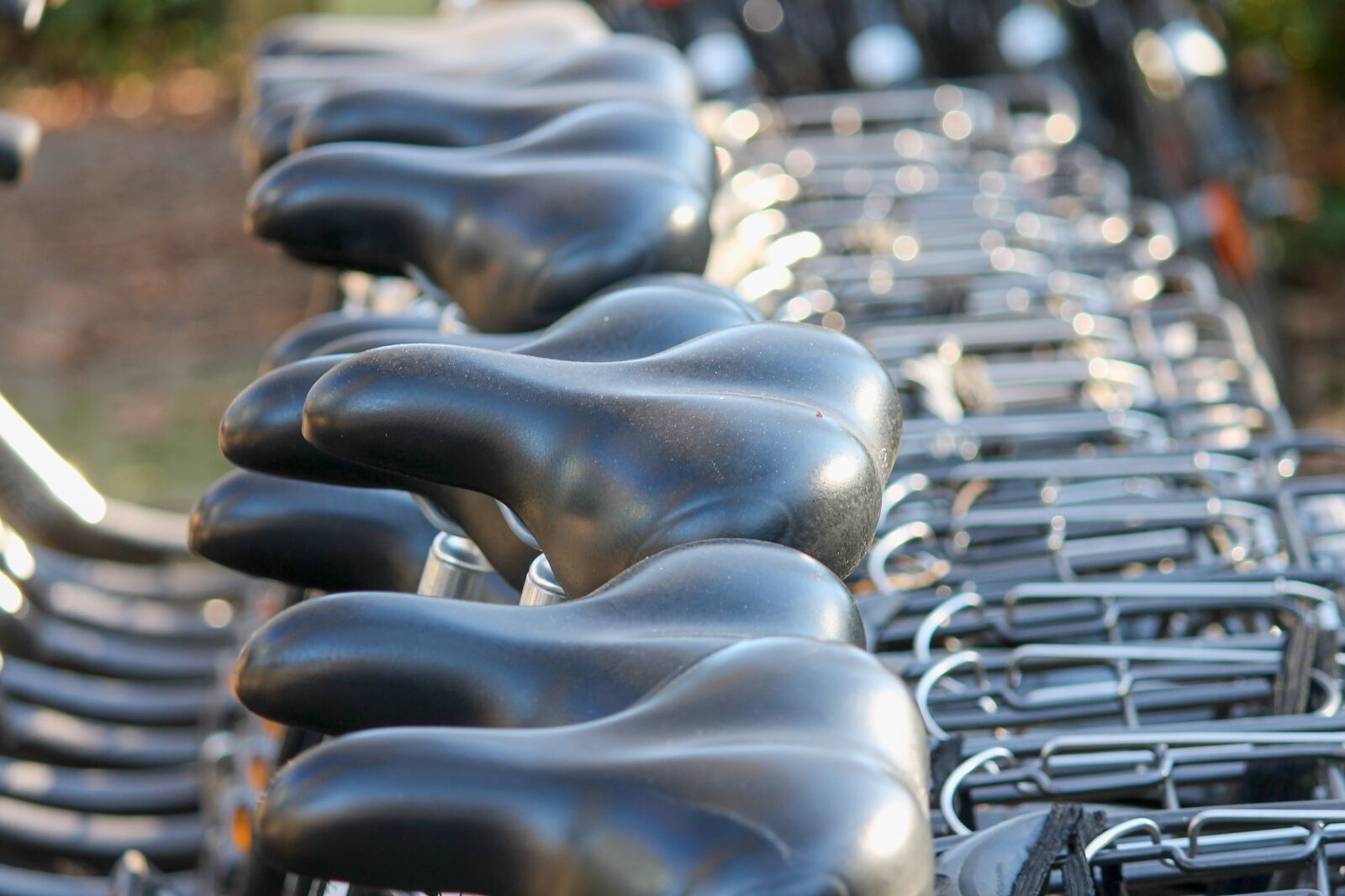 Canon EOS 1100D (EOS Rebel T3 / EOS Kiss X50) sample photo. Saddle, bicycles, cycling photography