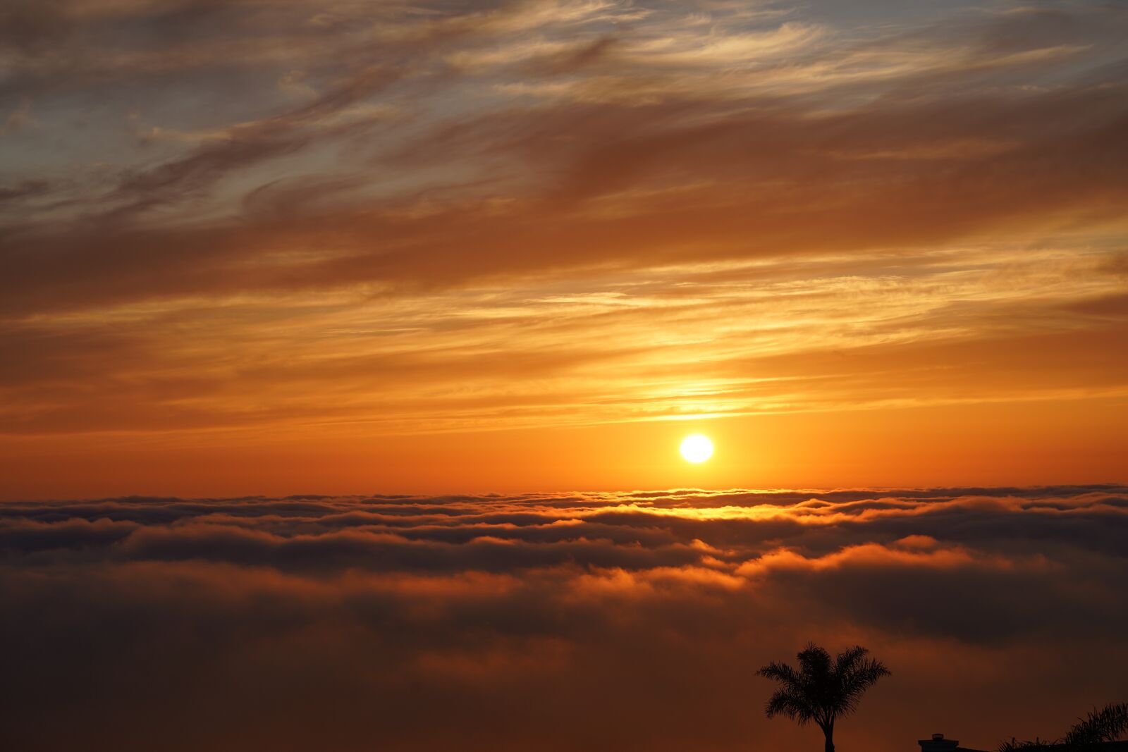 Sony a7 III + Sony FE 24-105mm F4 G OSS sample photo. Sunset over fog, foggy photography