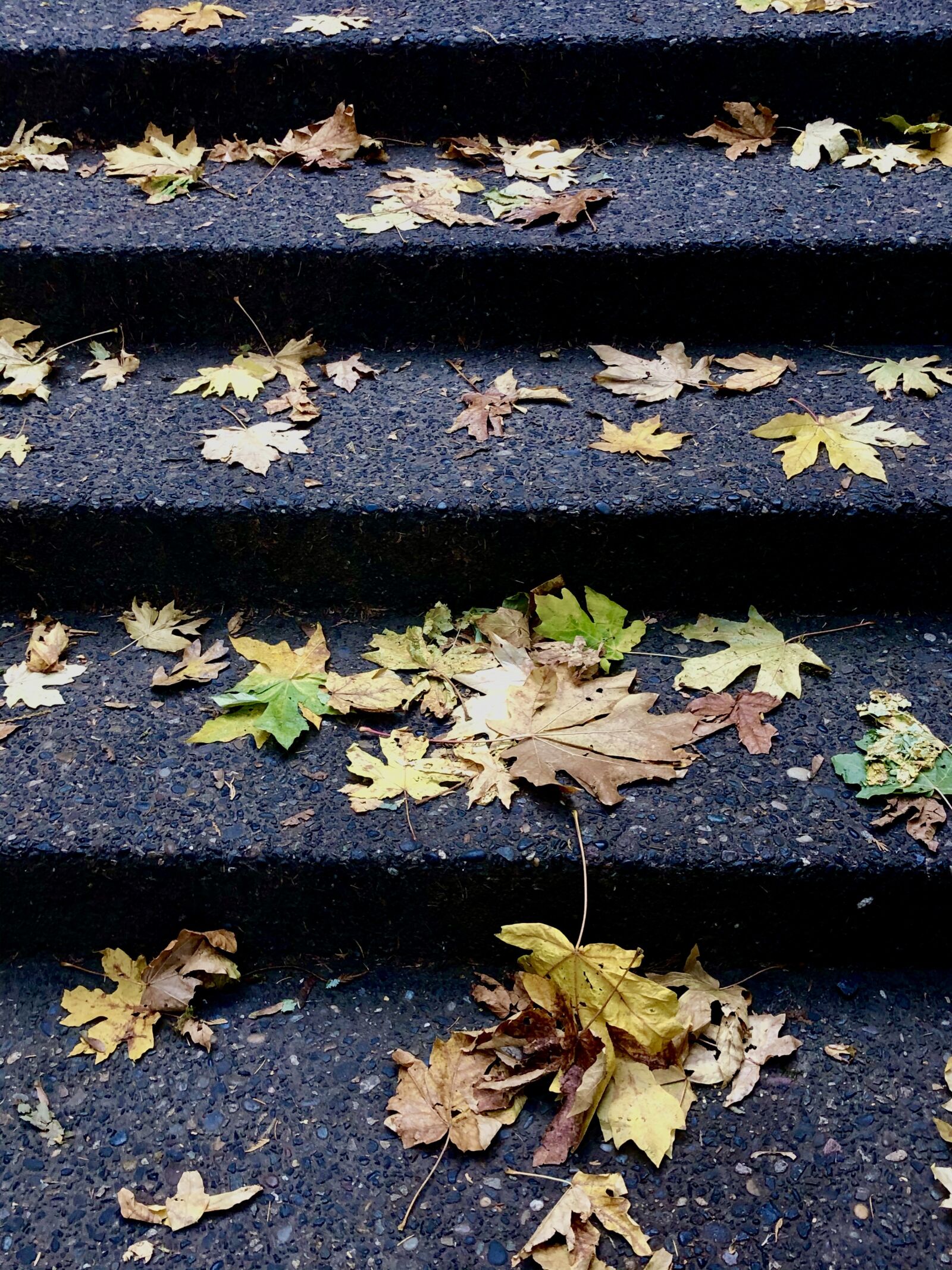 Apple iPhone X sample photo. Fall, leaves, stairs photography