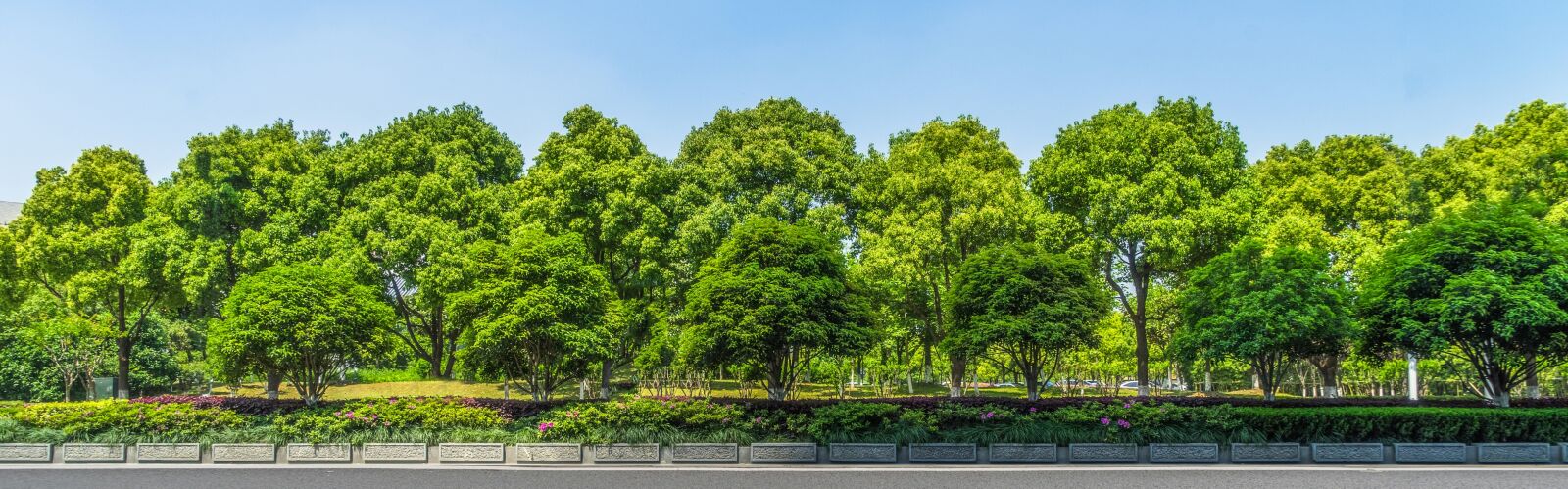 Sony a7 II sample photo
