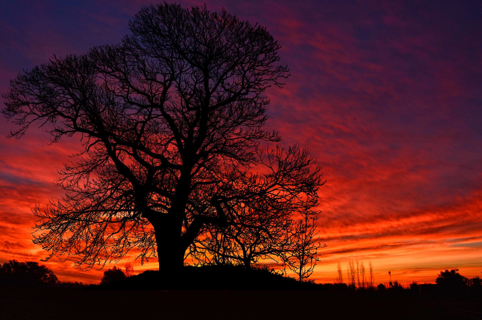 Pentax K-5 sample photo. Sunset, tree, sky photography