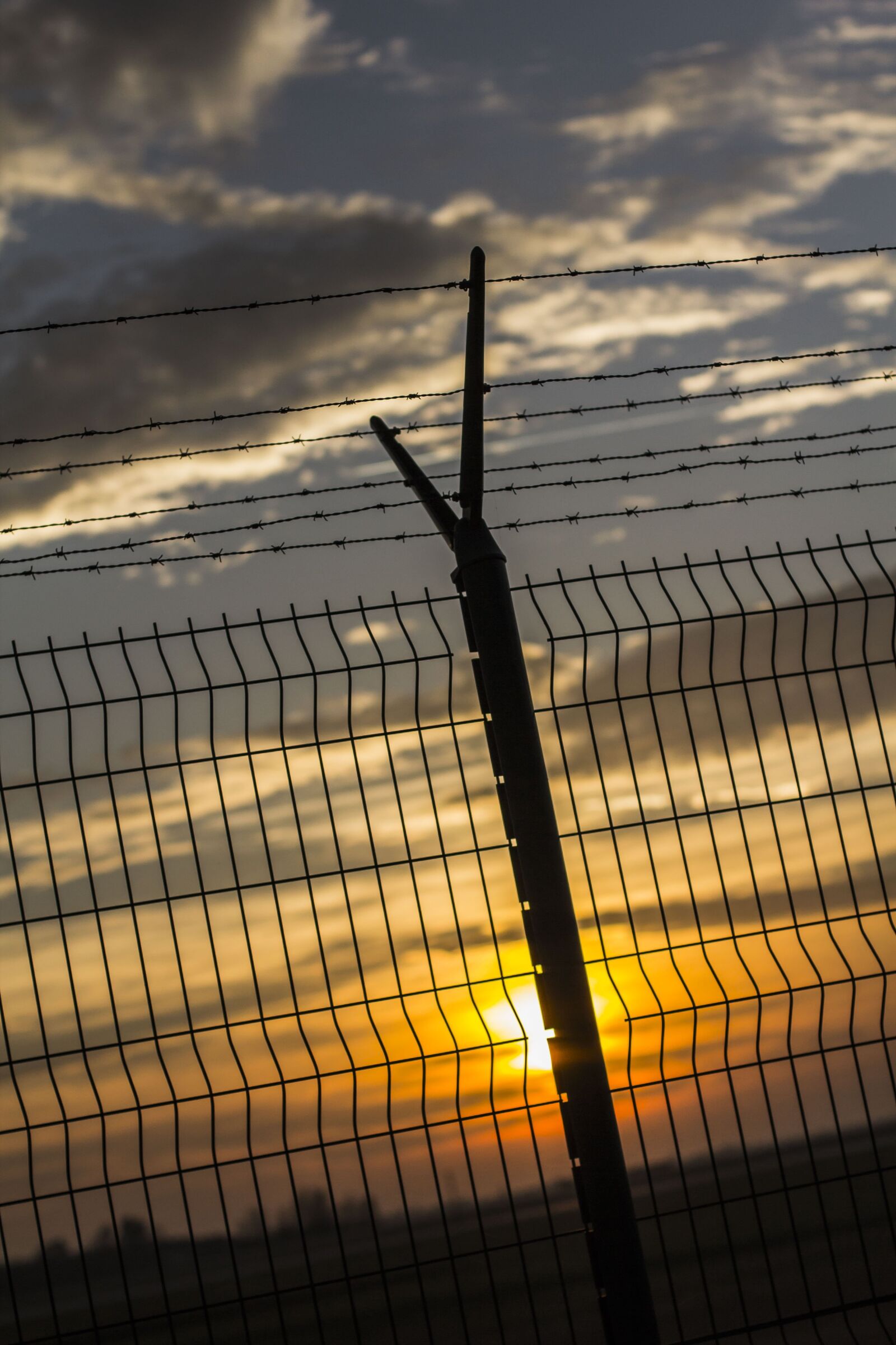 Canon EOS 60D + Canon EF 50mm F1.4 USM sample photo. Sunset, fence, sun photography