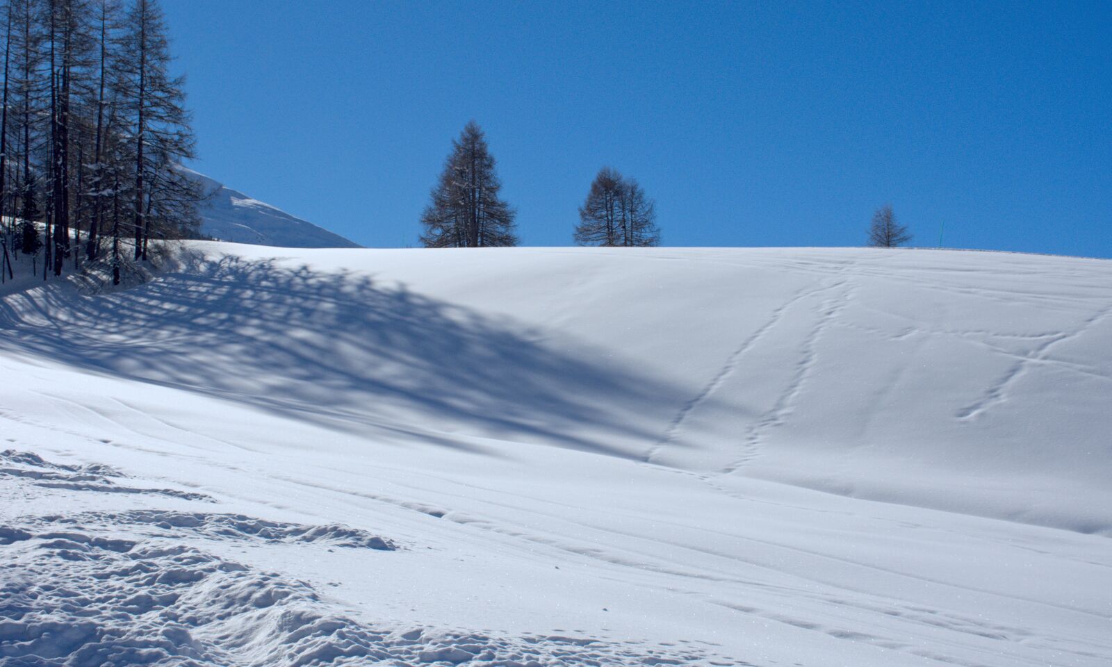 Nikon D7200 sample photo. Snow, mountain, livigno photography