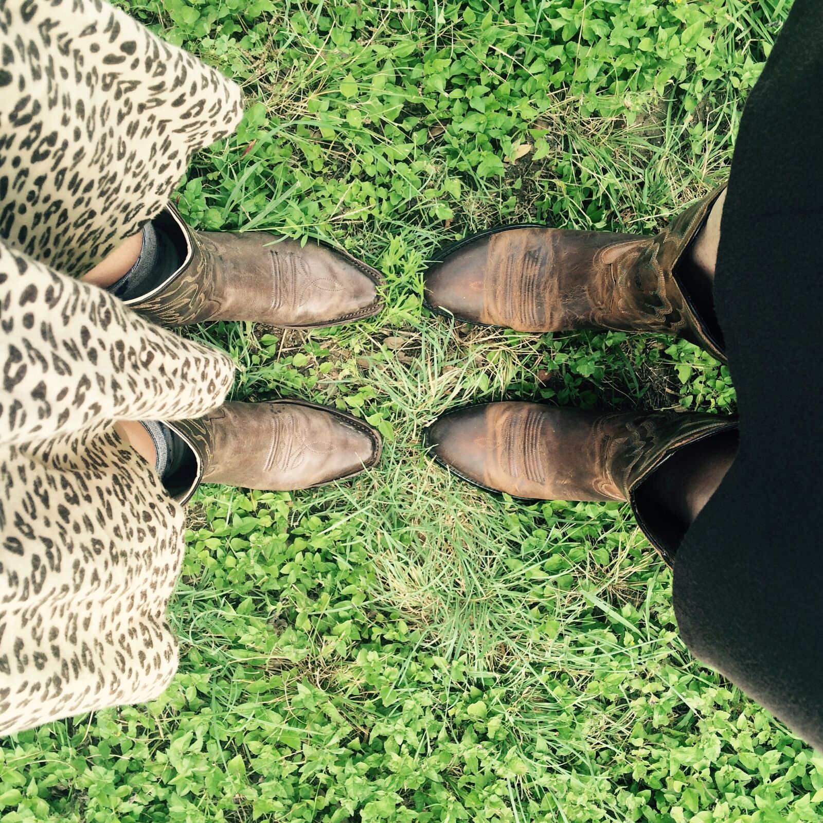 Apple iPhone 5s sample photo. Boots photography