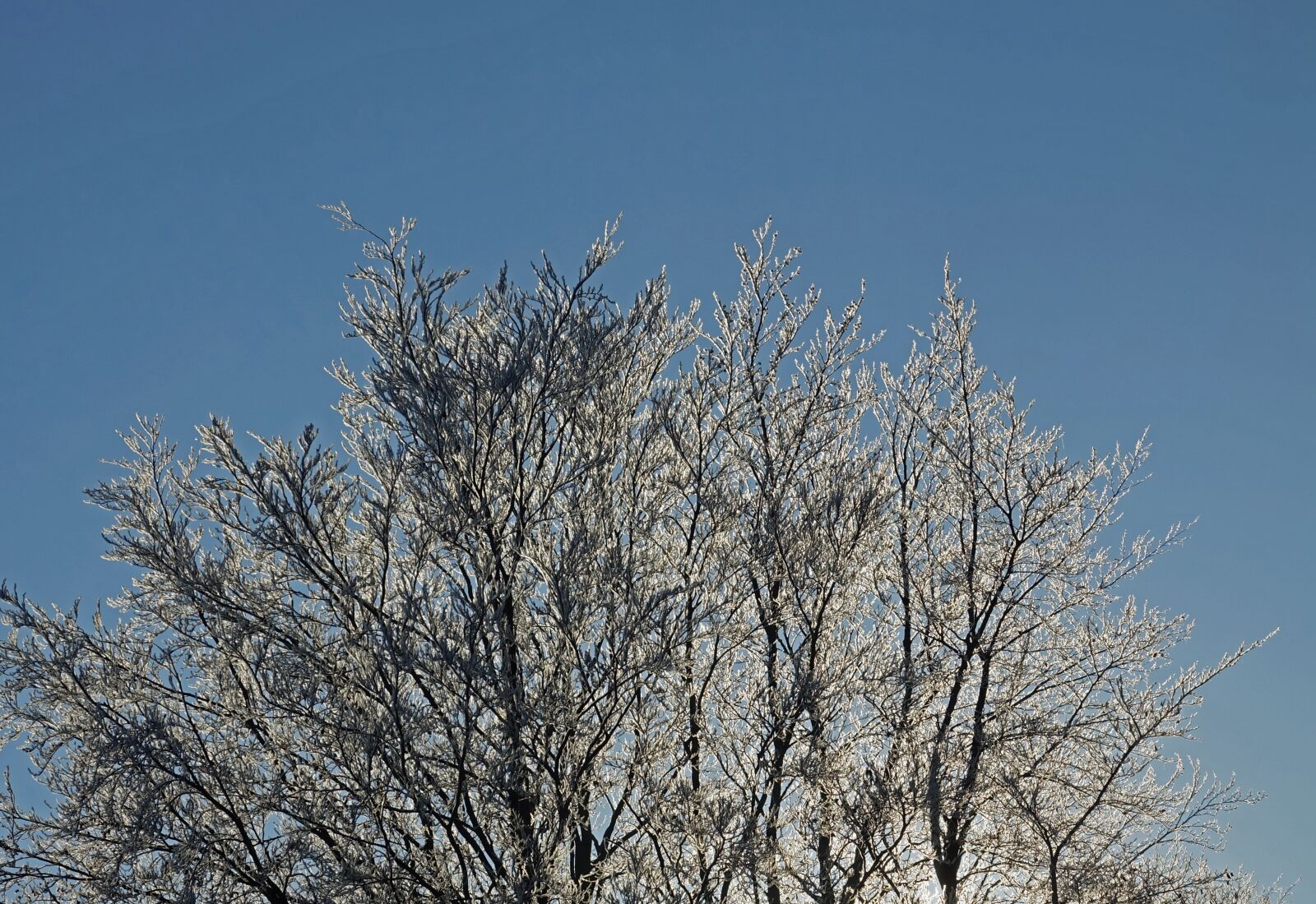 Sony Cyber-shot DSC-RX10 III sample photo. Winter, snow, ice photography