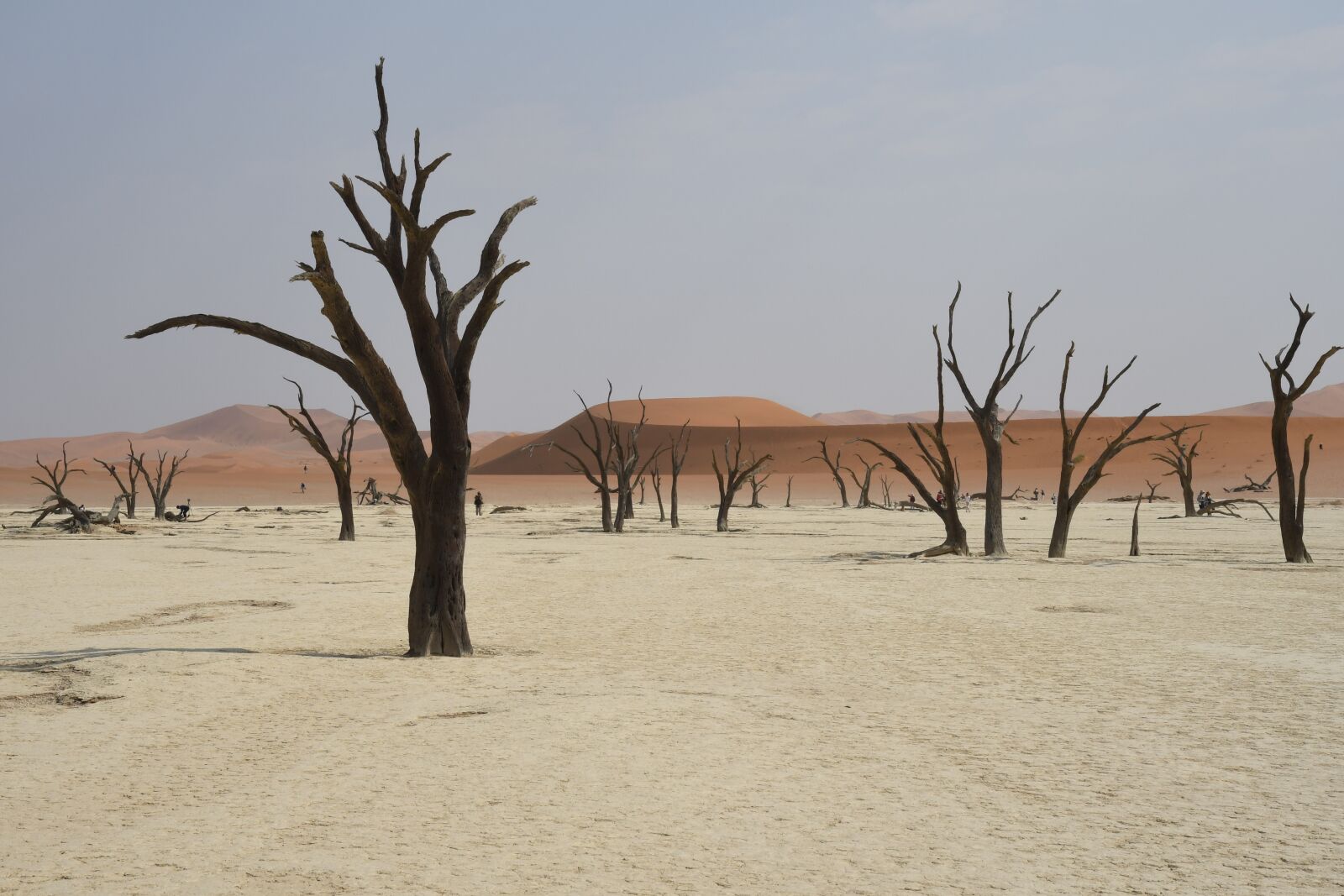 Nikon D500 sample photo. Landscape, desert, namibia photography