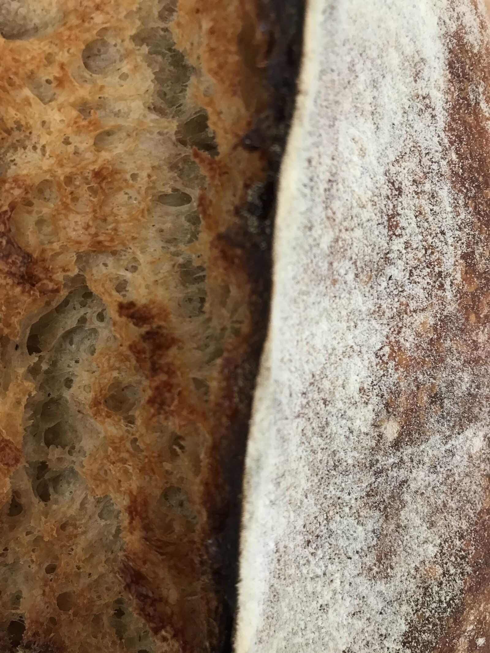 iPhone 7 back camera 3.99mm f/1.8 sample photo. Bread, crust, product photography