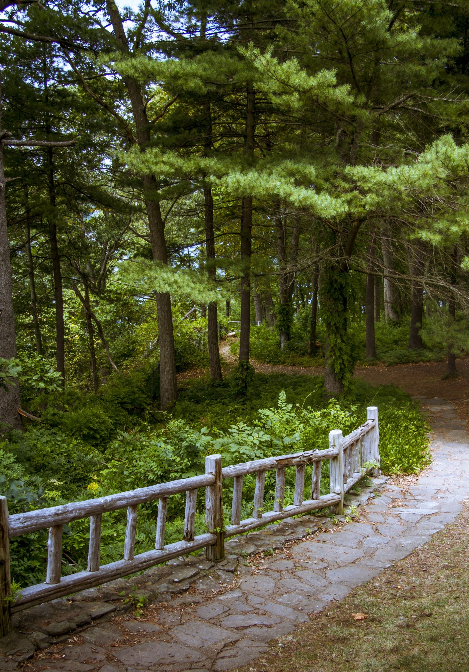 Canon EF-S 17-85mm F4-5.6 IS USM sample photo. Path, fence, woods photography