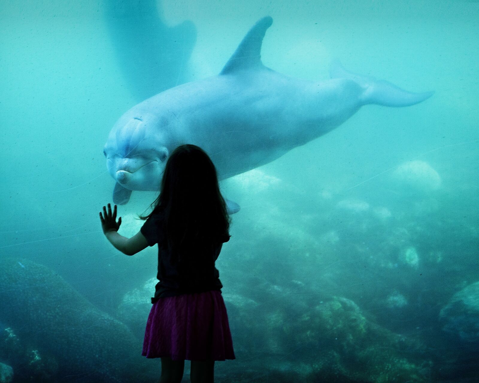 Nikon D90 sample photo. Dolphin, friens, girl photography