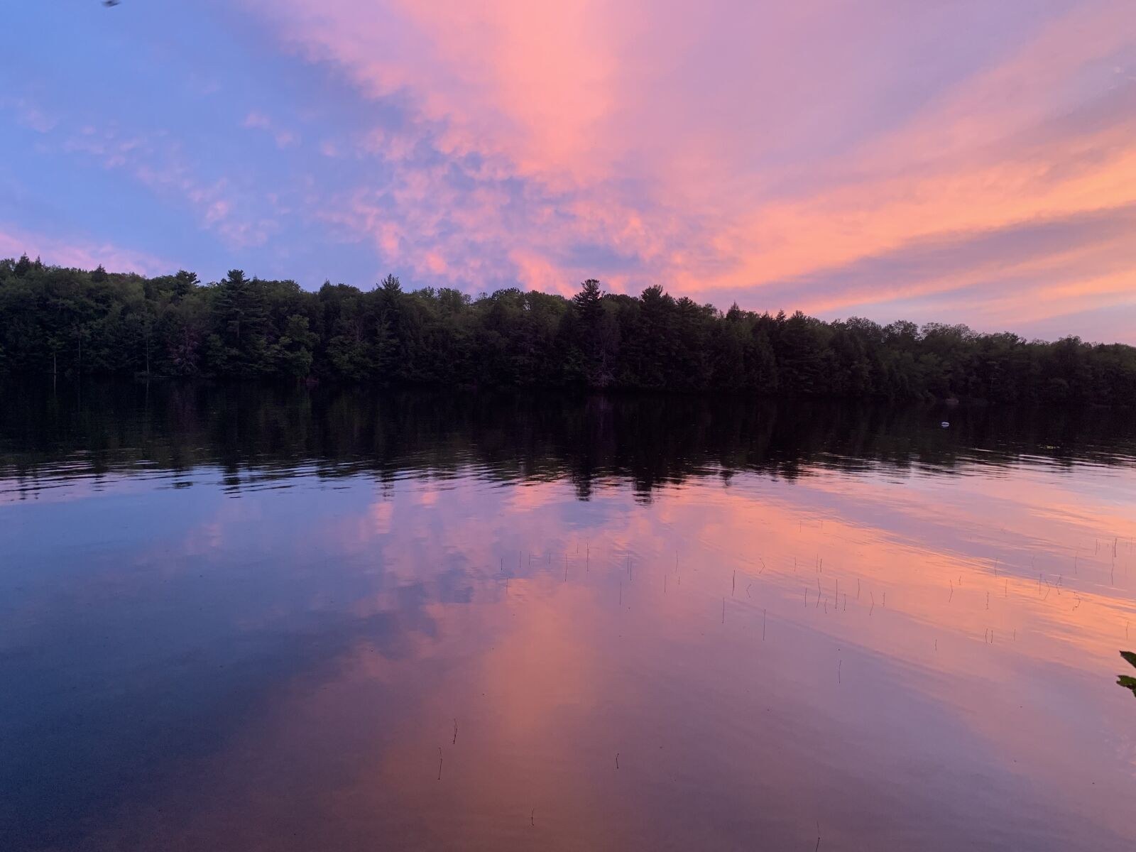 iPhone XR back camera 4.25mm f/1.8 sample photo. Sunset, lake, ontario photography