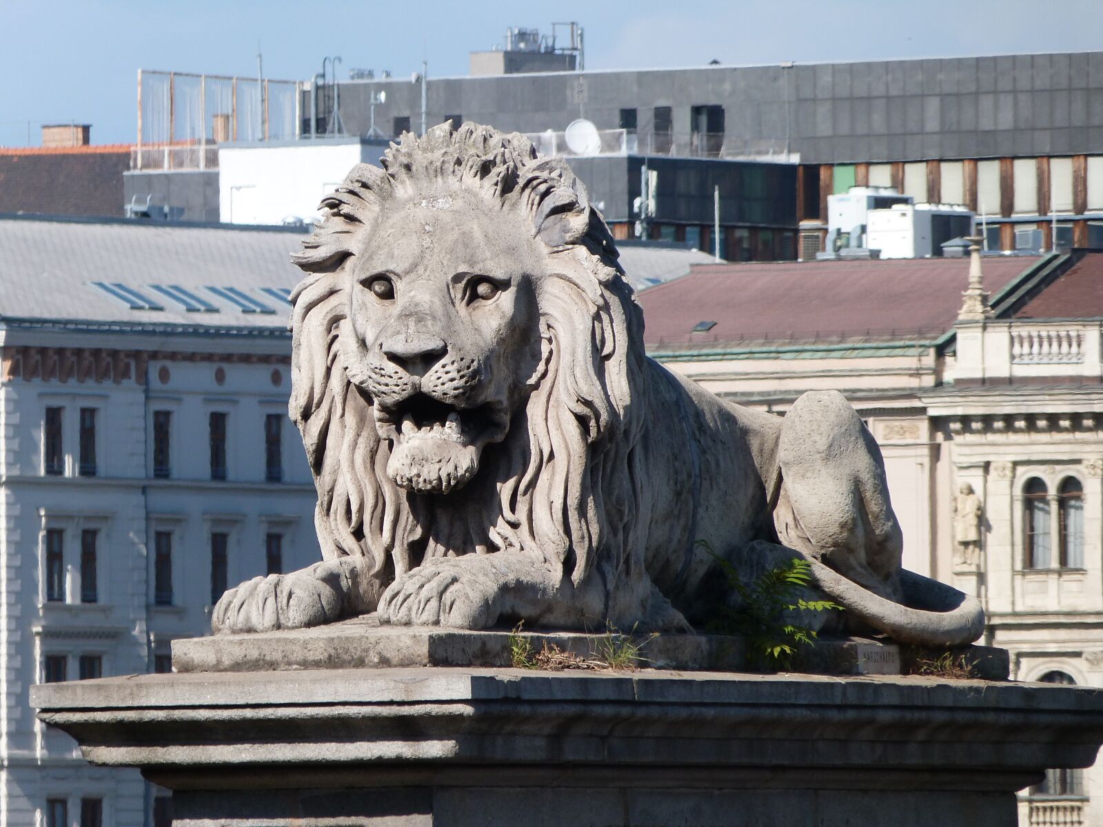 Panasonic Lumix DMC-FZ40 (Lumix DMC-FZ45) sample photo. Lion, budapest, chain bridge photography