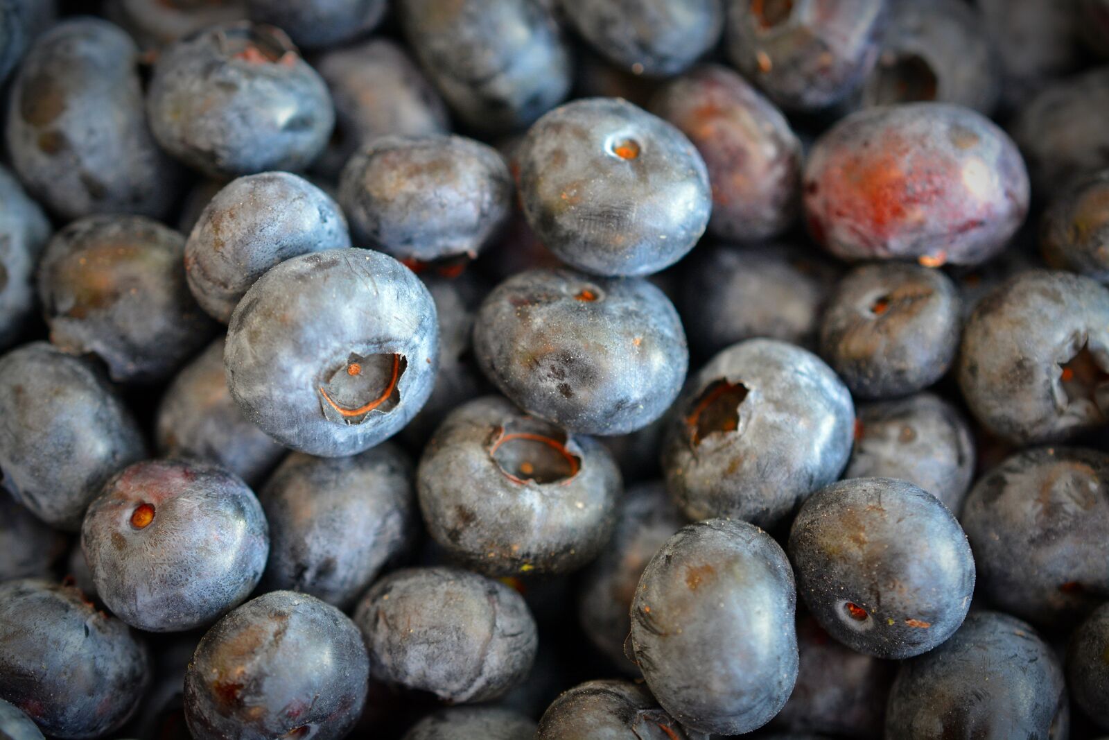 Nikon D5200 sample photo. Blueberries, fruit, delicious photography