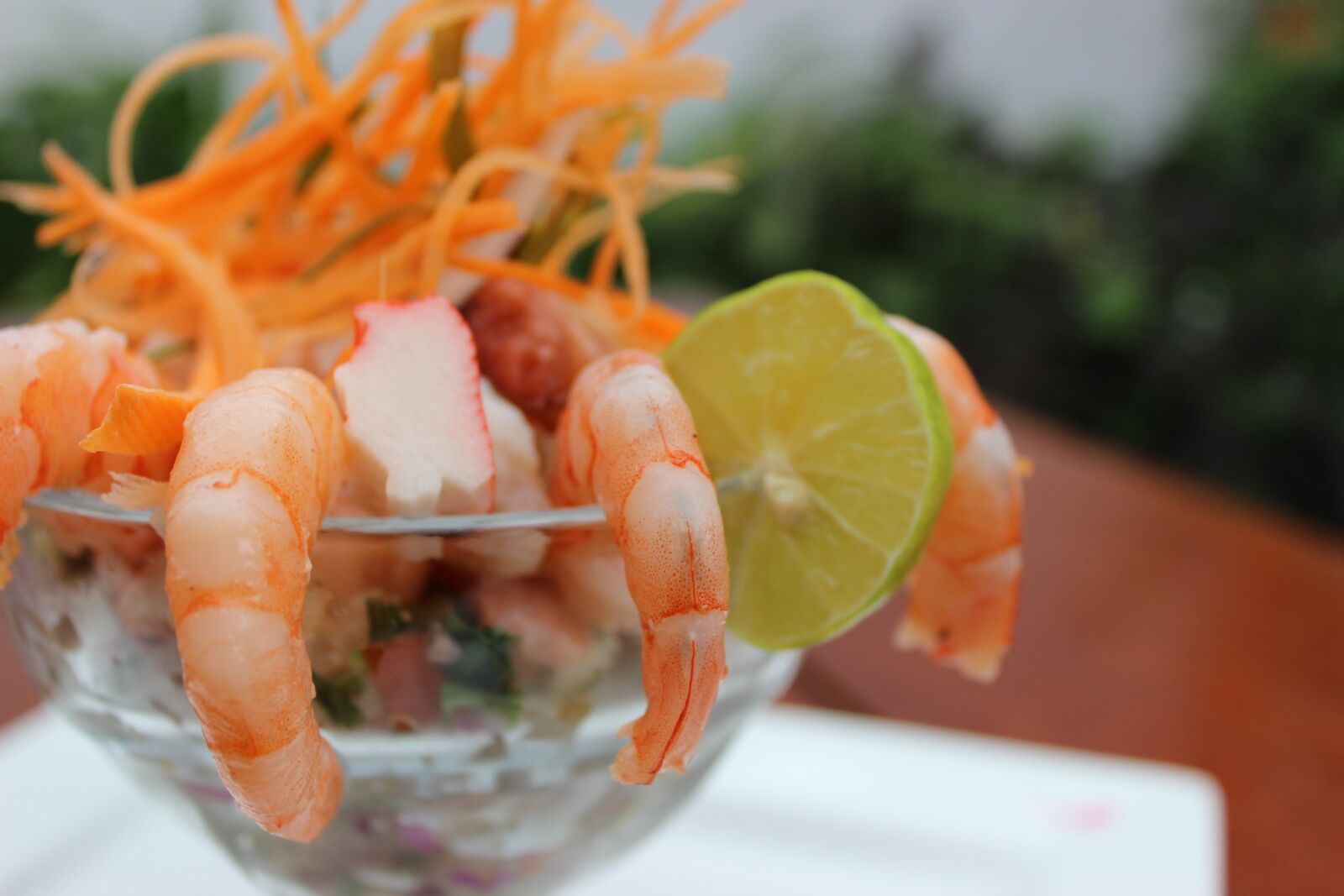 Canon EOS 600D (Rebel EOS T3i / EOS Kiss X5) sample photo. Seafood, gourmet, food photography
