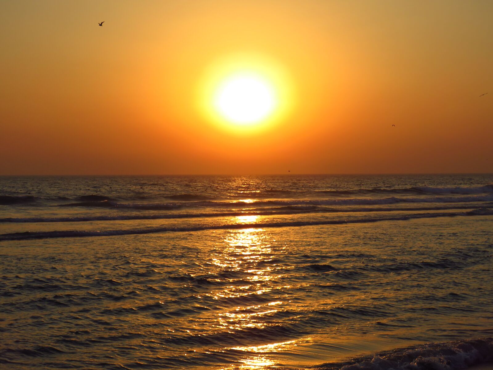 Canon PowerShot SX60 HS sample photo. Sunset, beach, summer photography