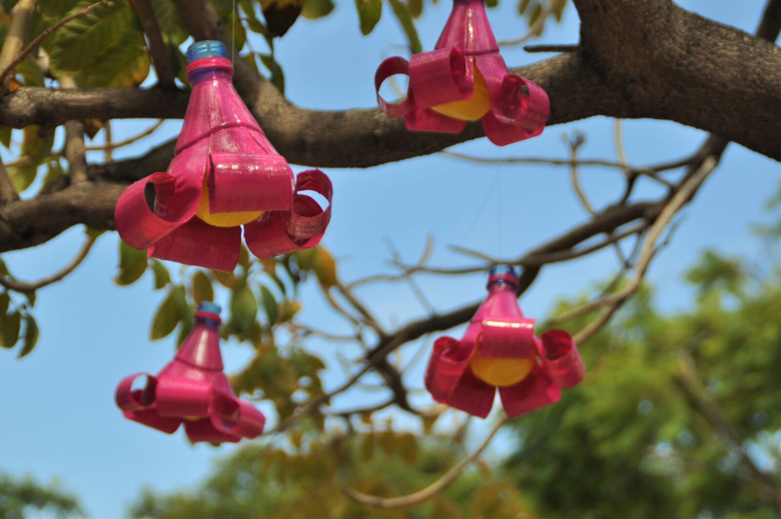 Nikon D5000 sample photo. Upcycling, plastic bottle, flower photography