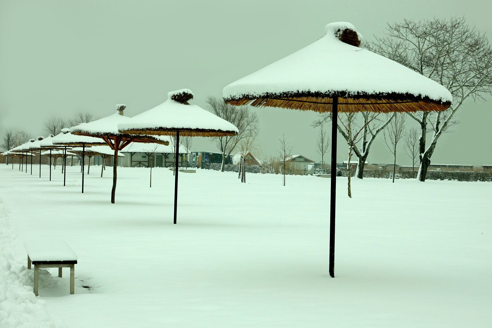 Sony Cyber-shot DSC-RX10 III sample photo. Snow, winter on the photography