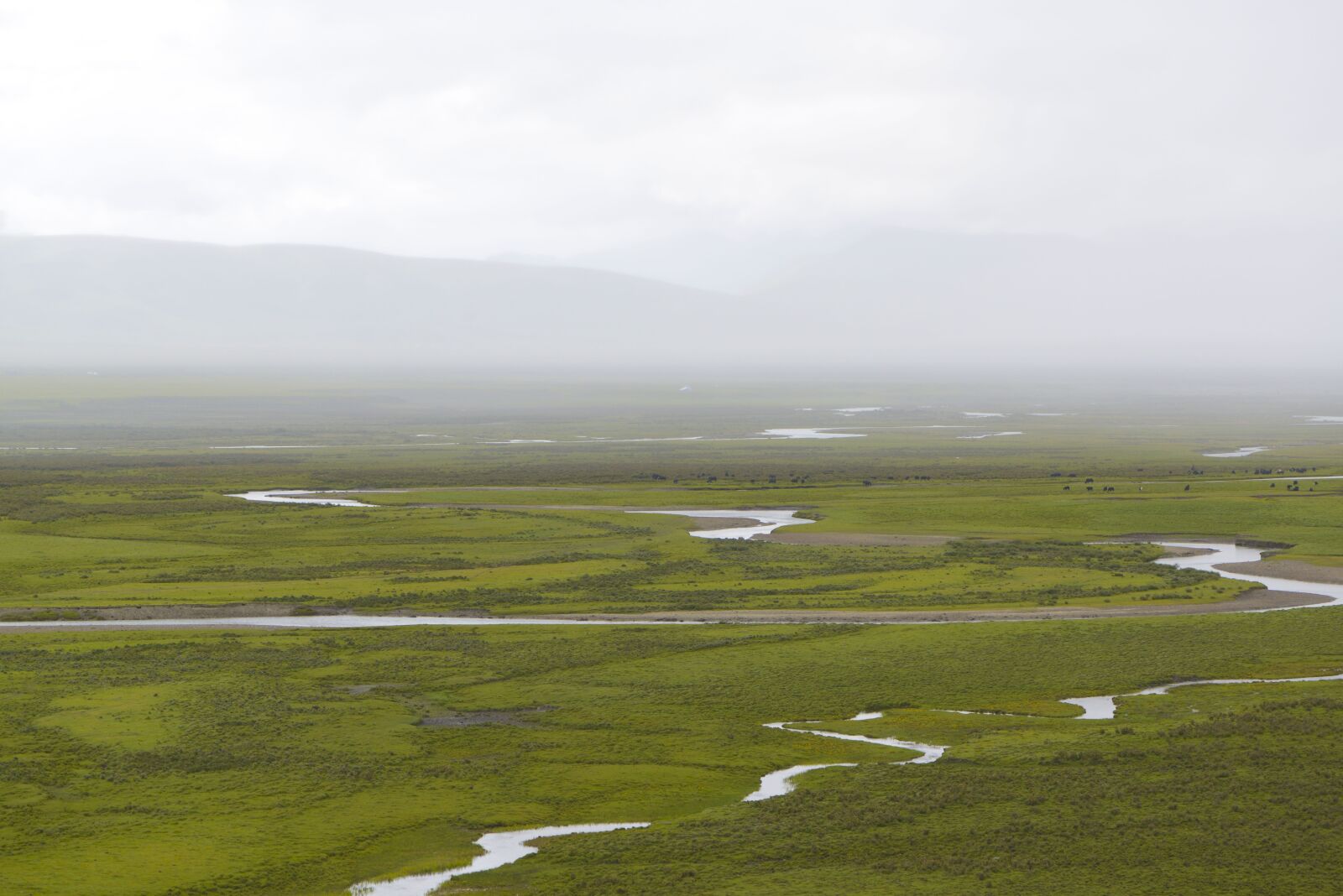 Nikon D800E sample photo. Prairie, landscape, river photography