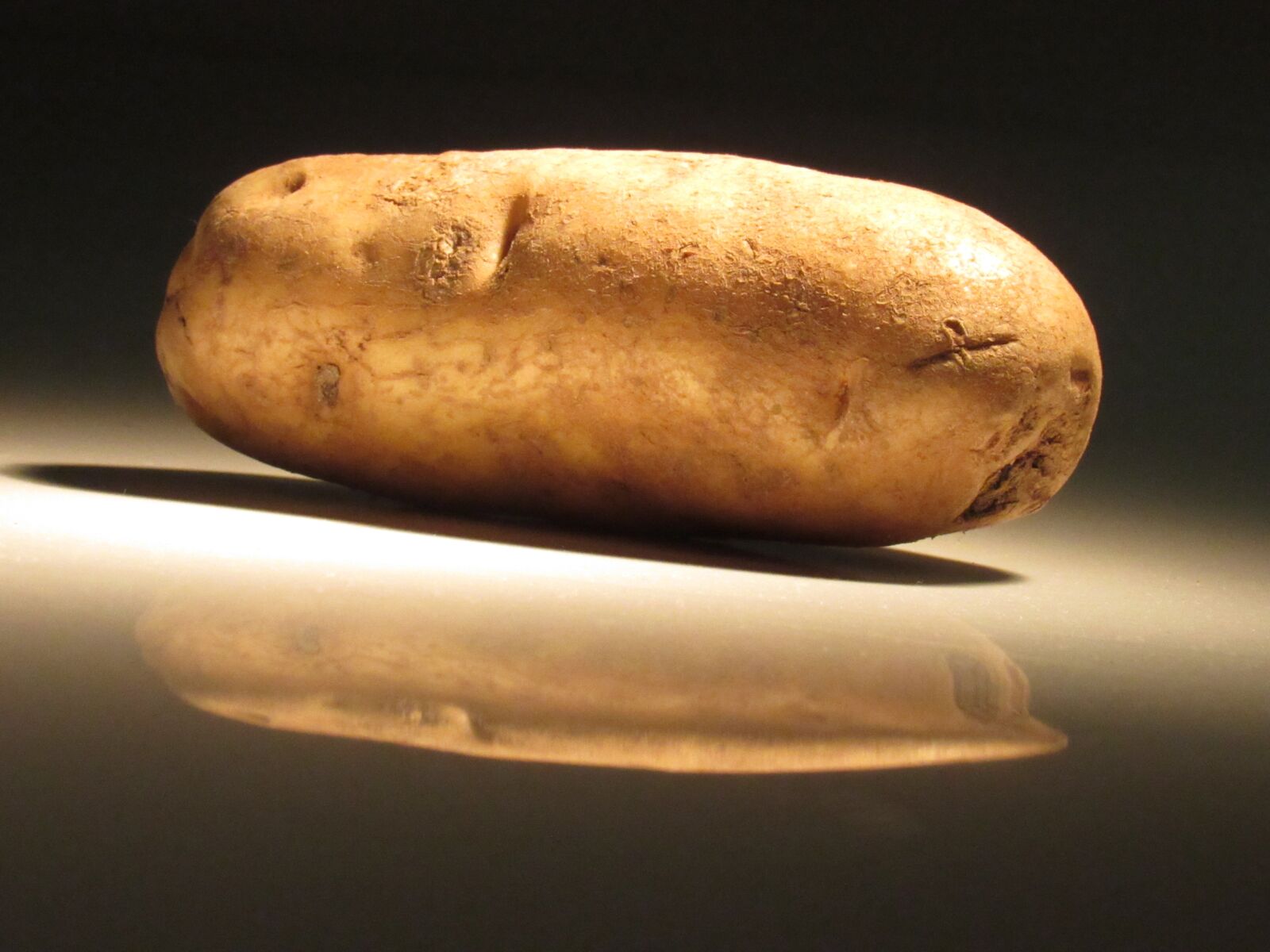Canon PowerShot SX530 HS sample photo. Food, root, grow photography