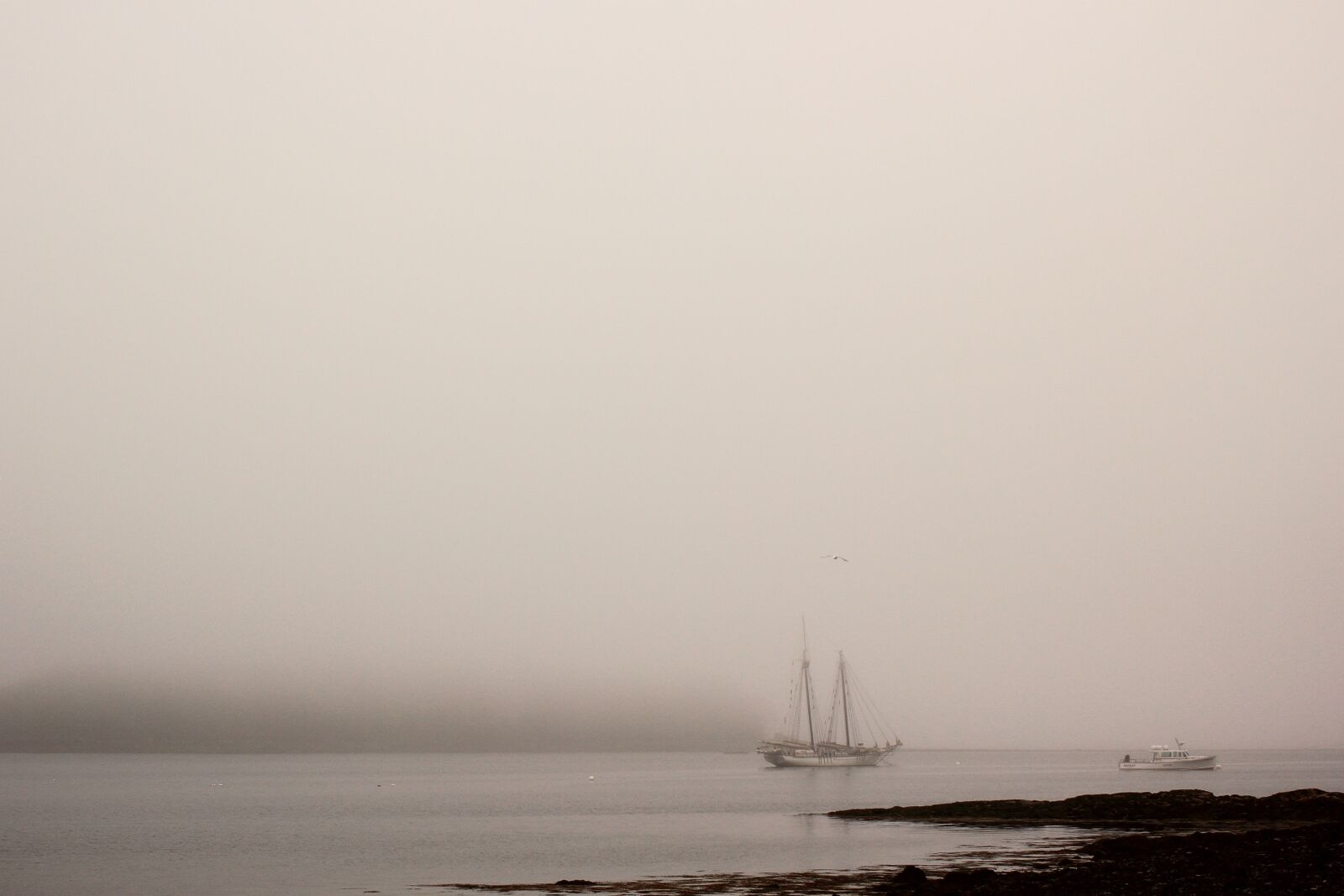 Canon EOS 60D + Canon EF 40mm F2.8 STM sample photo. Fog, boat, mood photography