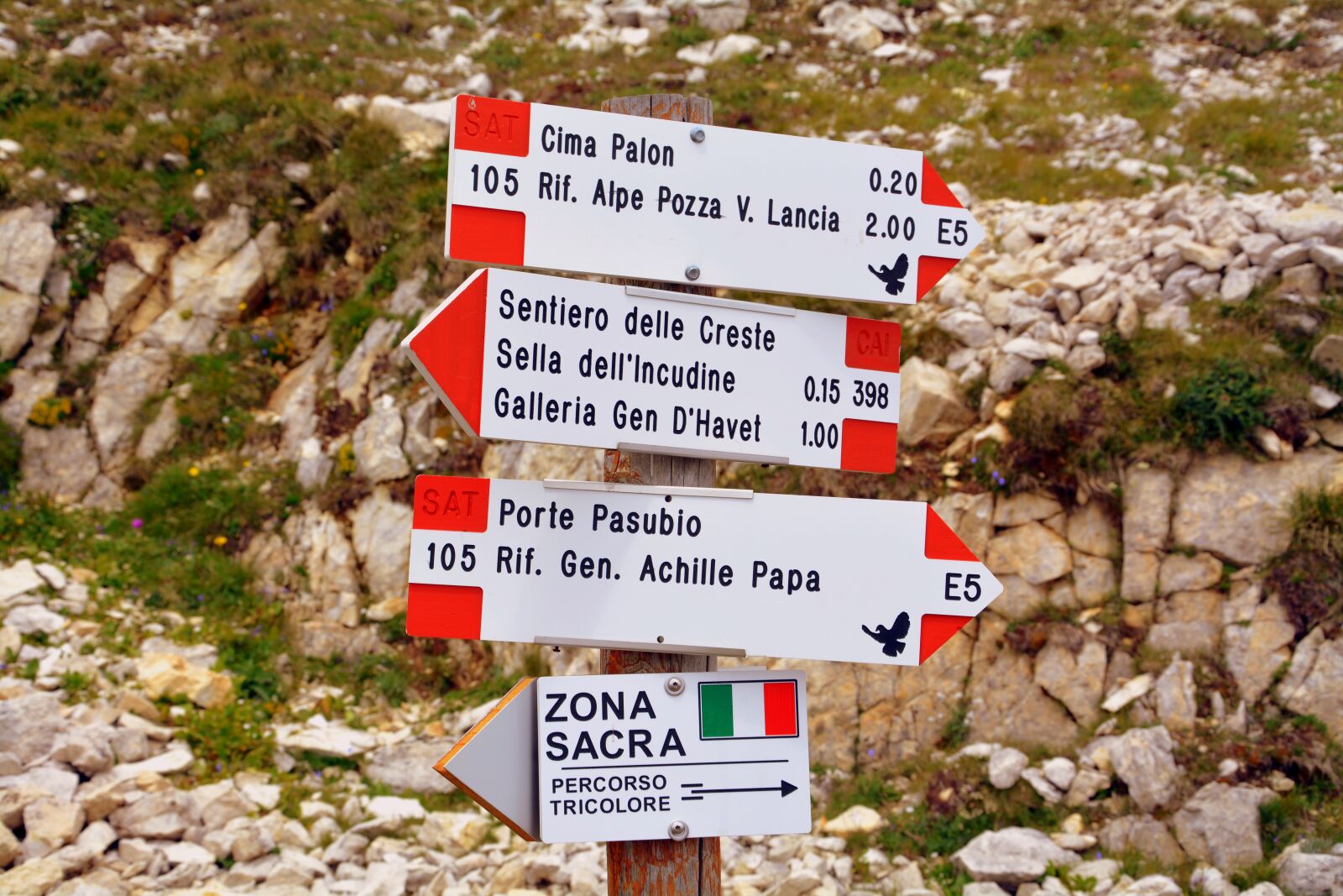 Nikon D7100 sample photo. Signal, indication, path photography