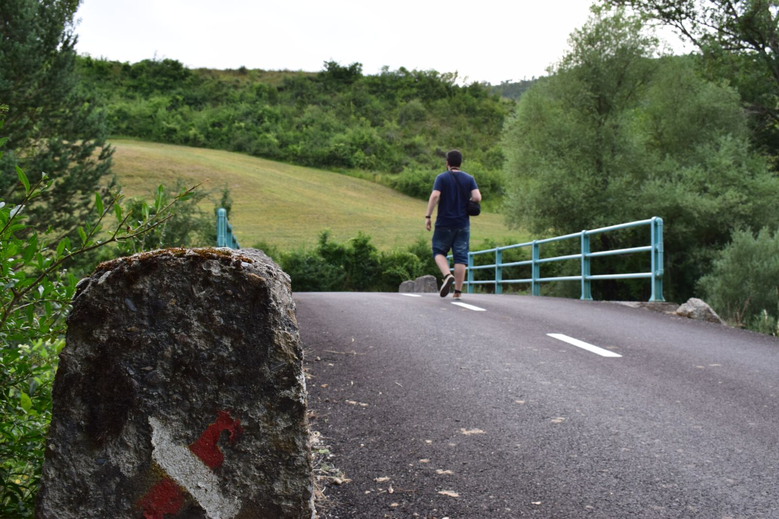 Nikon D3300 sample photo. Bridge, road, fence photography