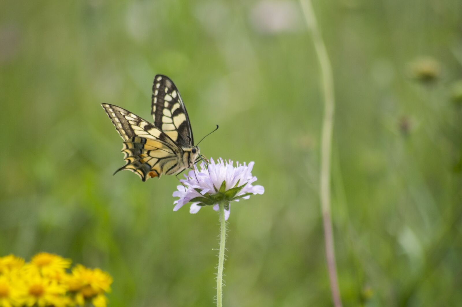 Nikon D3200 sample photo. Nature, france, fields photography
