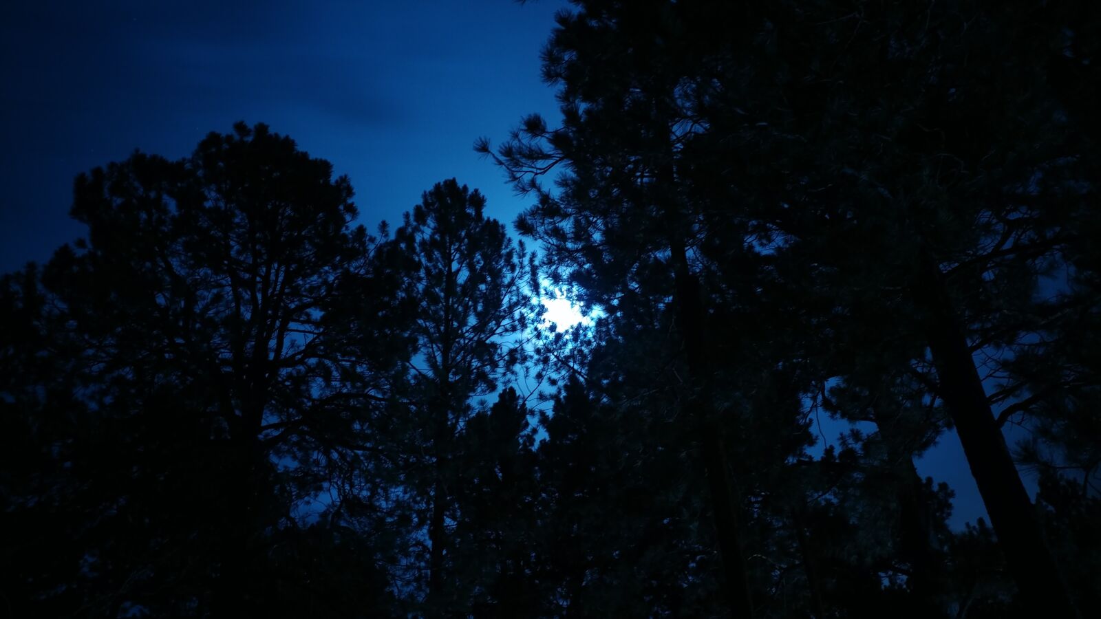 LG V20 sample photo. Moonlight, night, moon photography